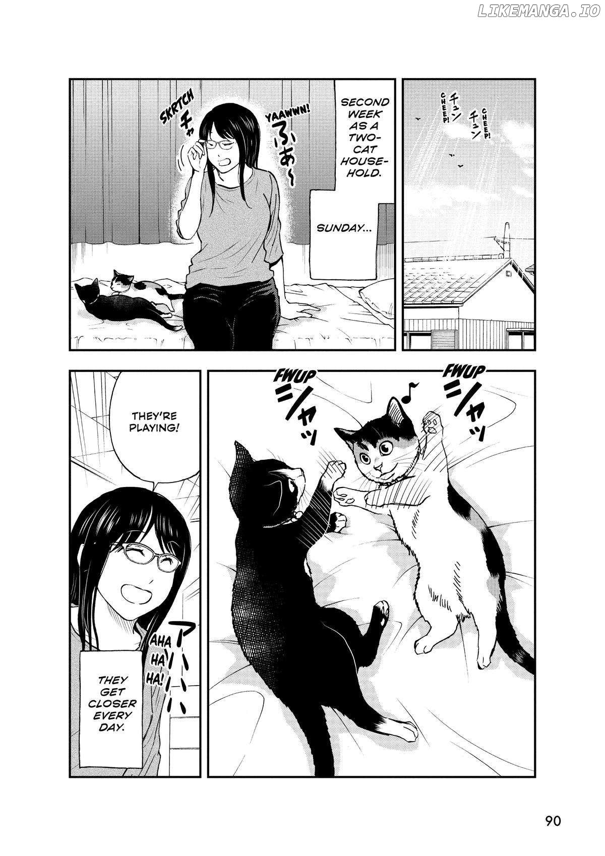 A Gamer Living With A Cat Chapter 32 - page 2