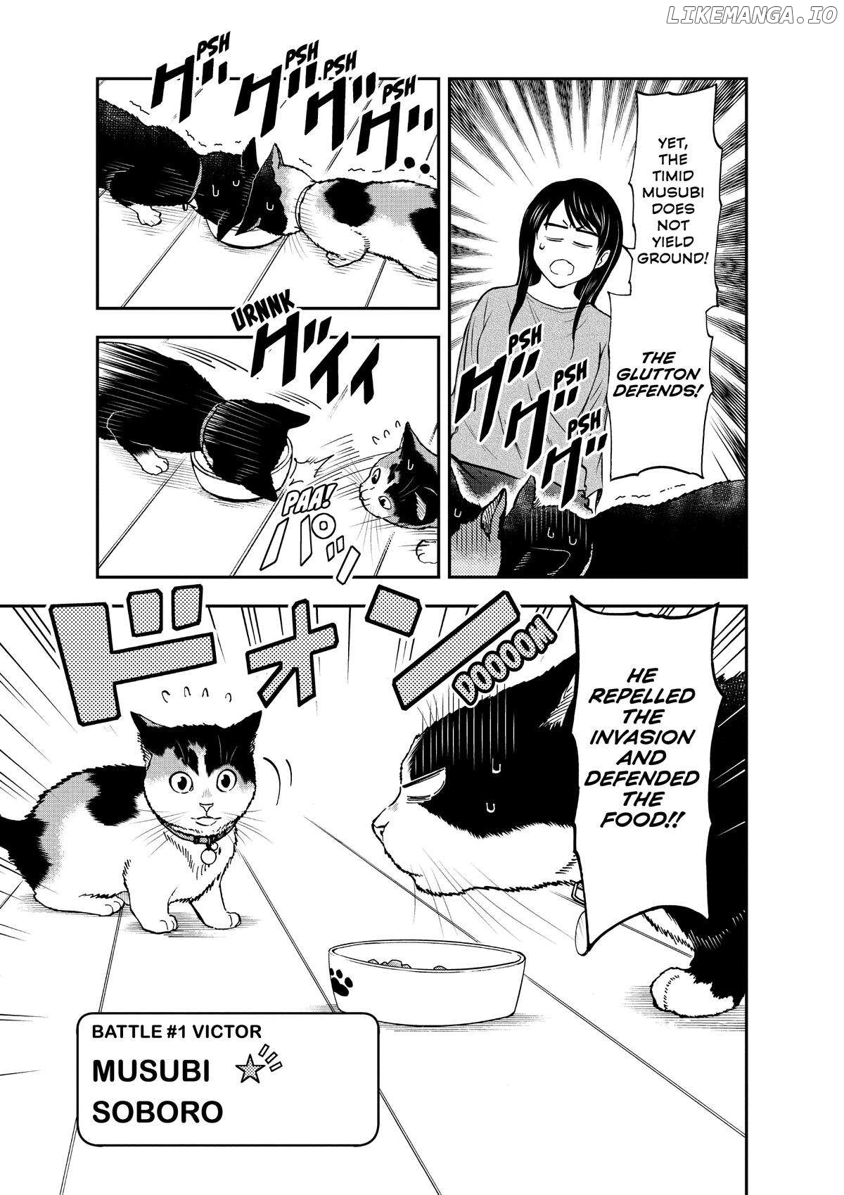 A Gamer Living With A Cat Chapter 32 - page 5