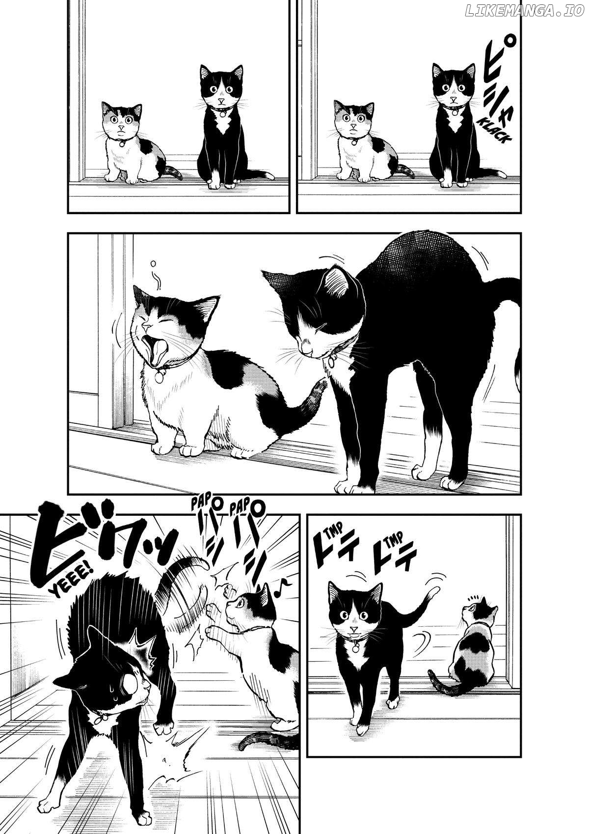 A Gamer Living With A Cat Chapter 33 - page 3