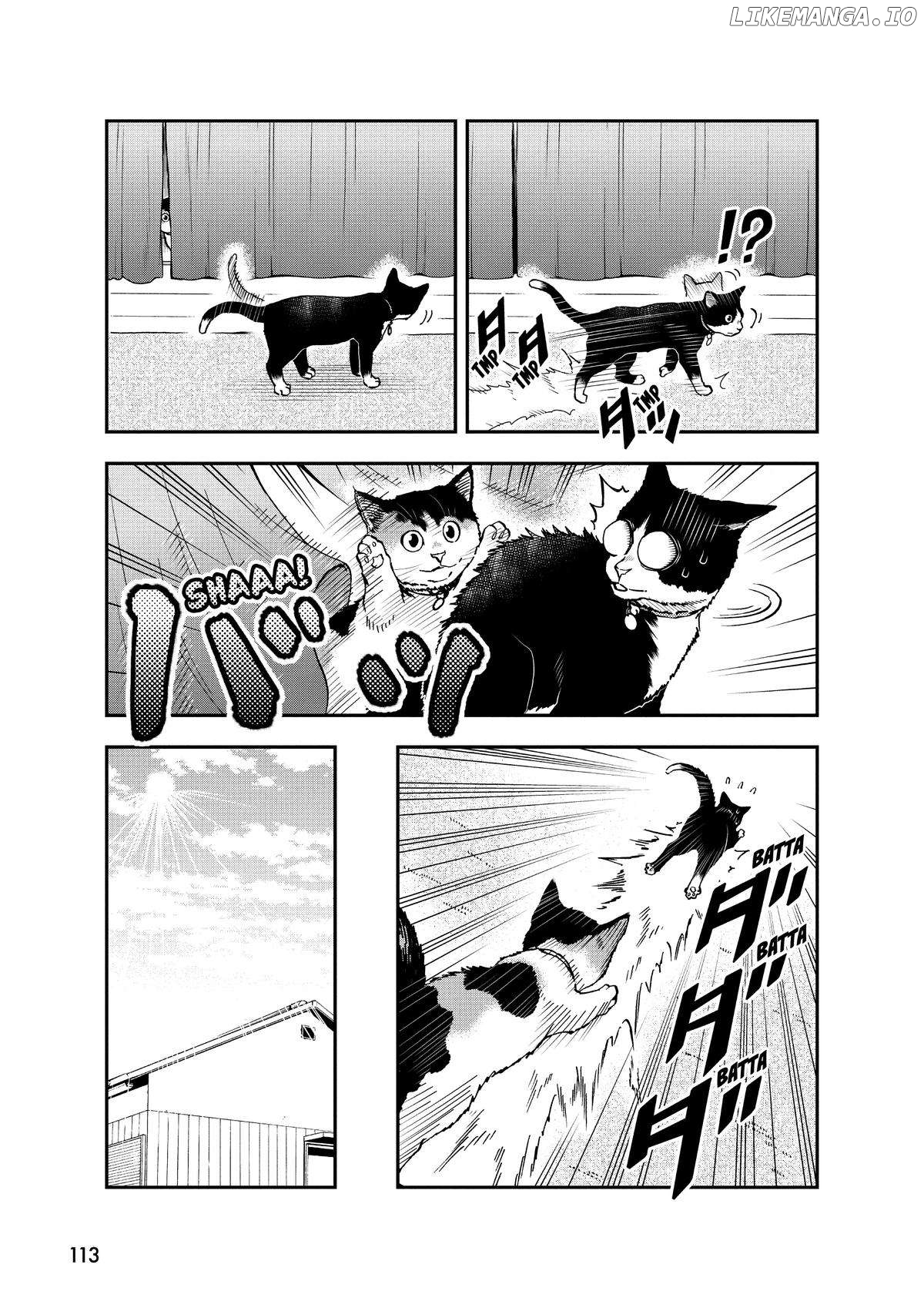A Gamer Living With A Cat Chapter 33 - page 5