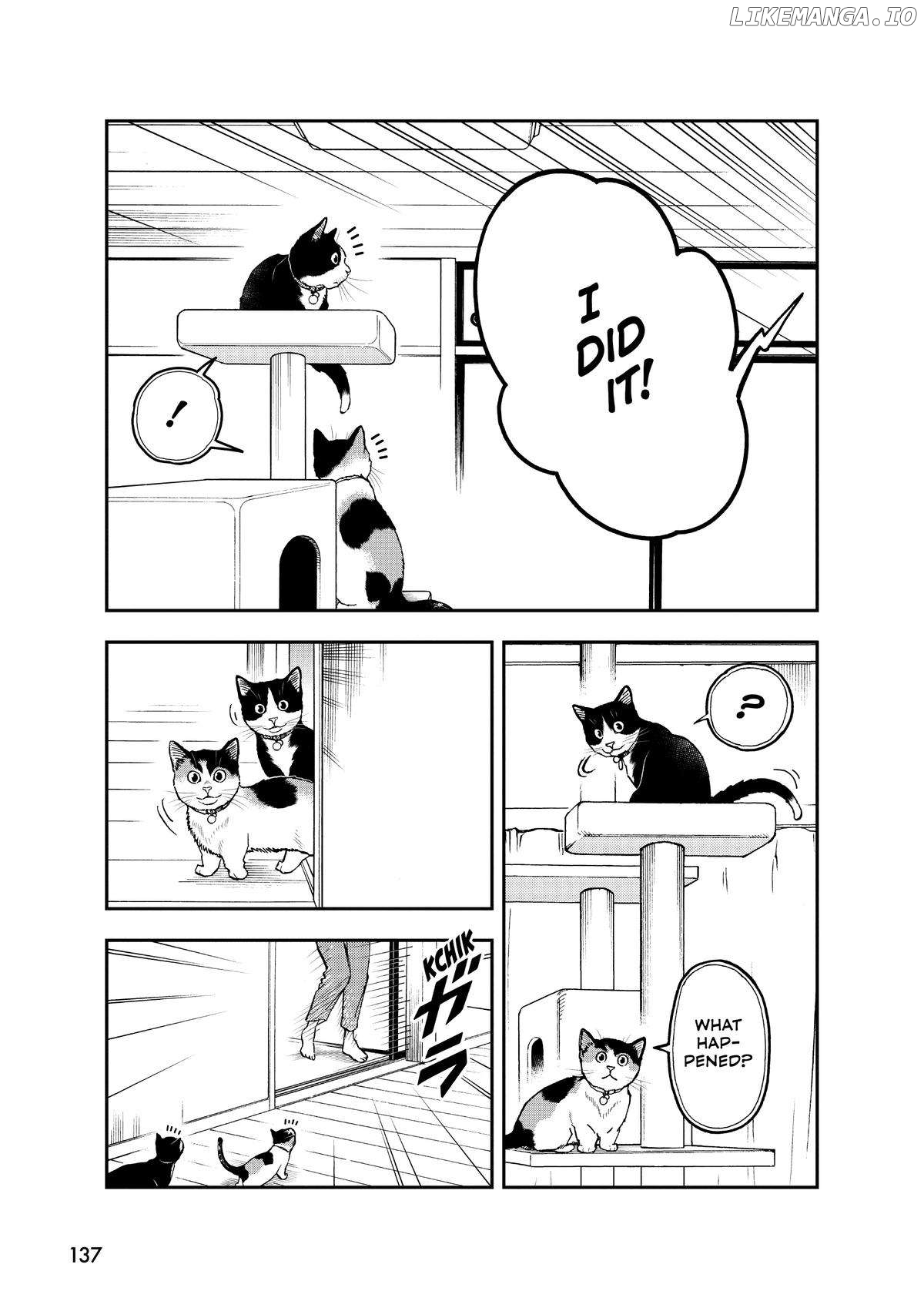 A Gamer Living With A Cat Chapter 34 - page 13