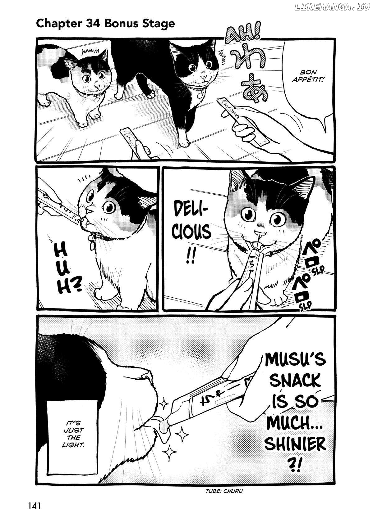 A Gamer Living With A Cat Chapter 34 - page 17
