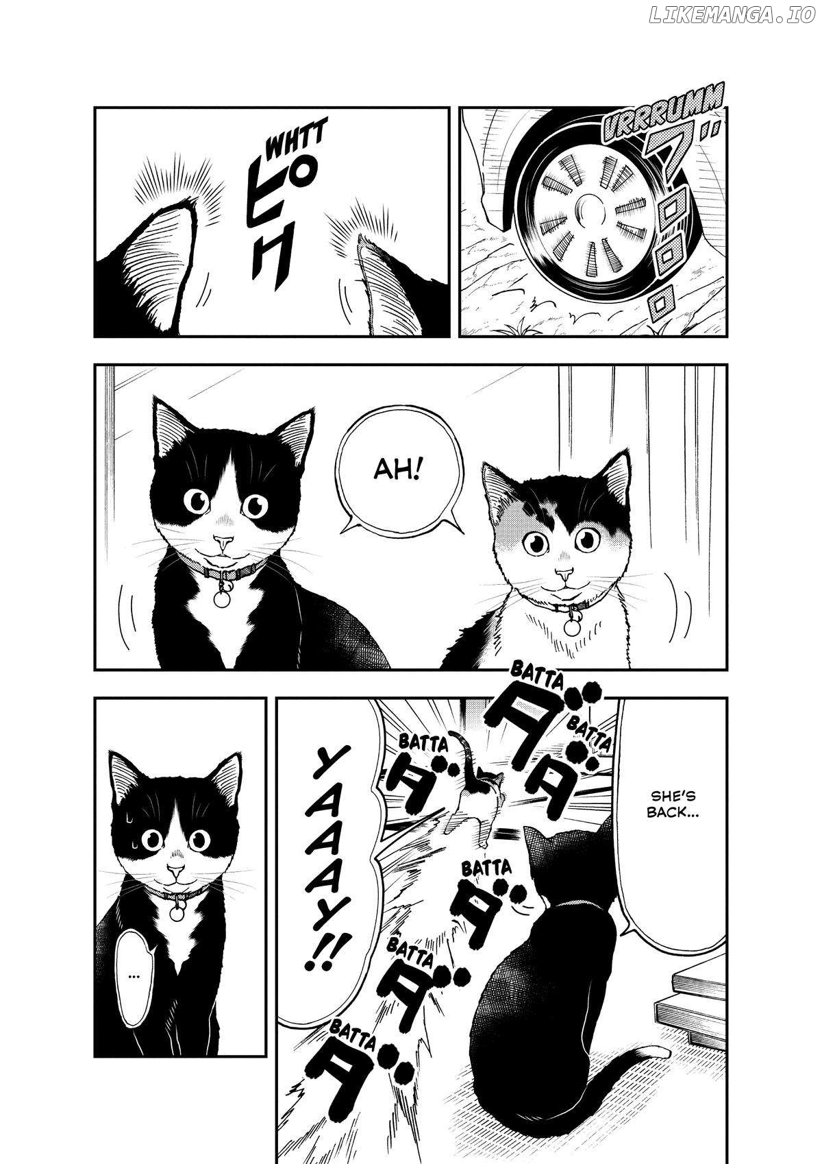 A Gamer Living With A Cat Chapter 34 - page 2