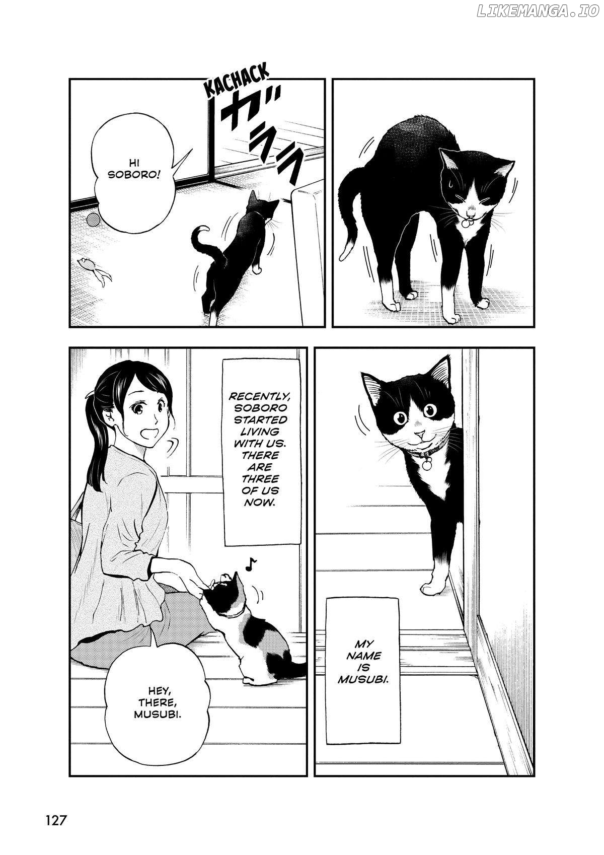A Gamer Living With A Cat Chapter 34 - page 3