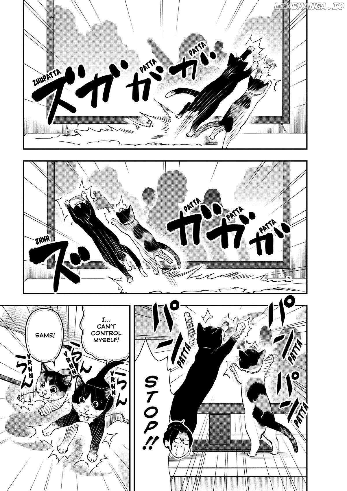 A Gamer Living With A Cat Chapter 34 - page 9