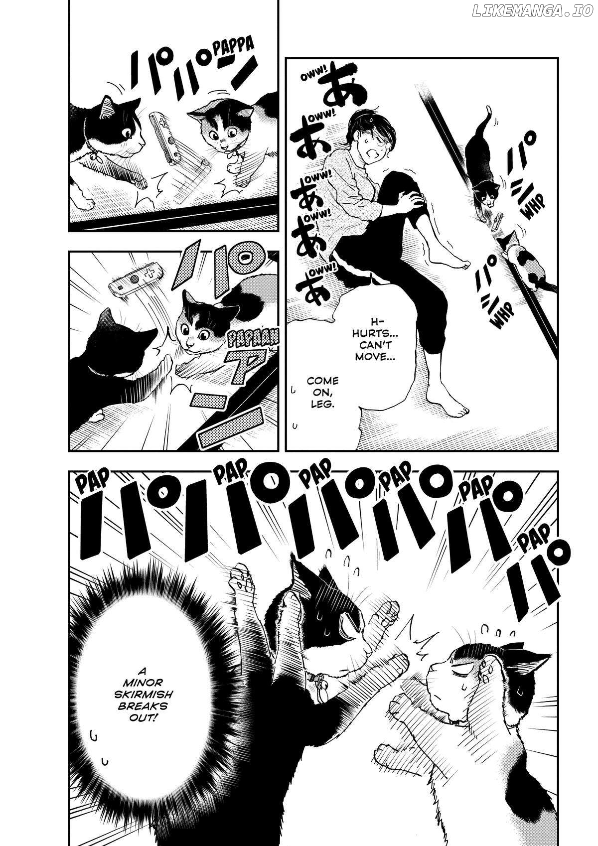 A Gamer Living With A Cat Chapter 35 - page 16