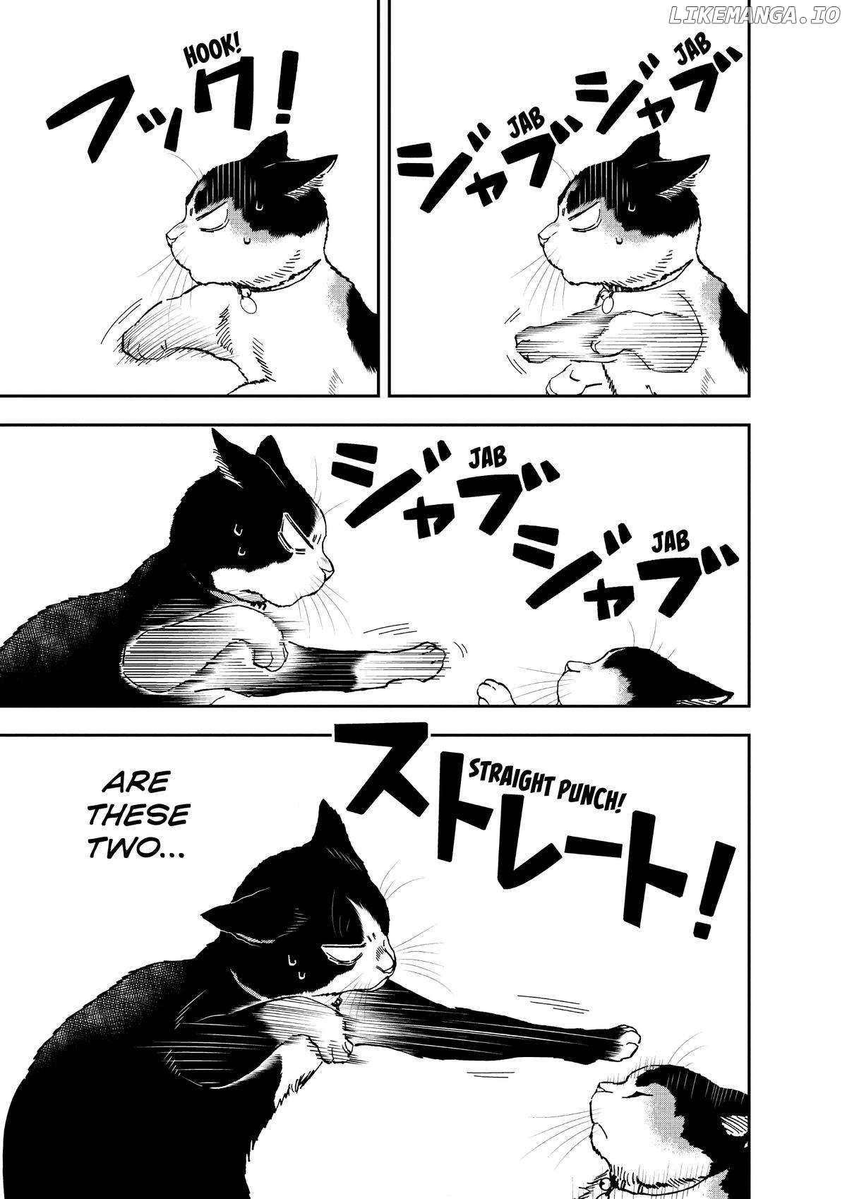 A Gamer Living With A Cat Chapter 35 - page 17