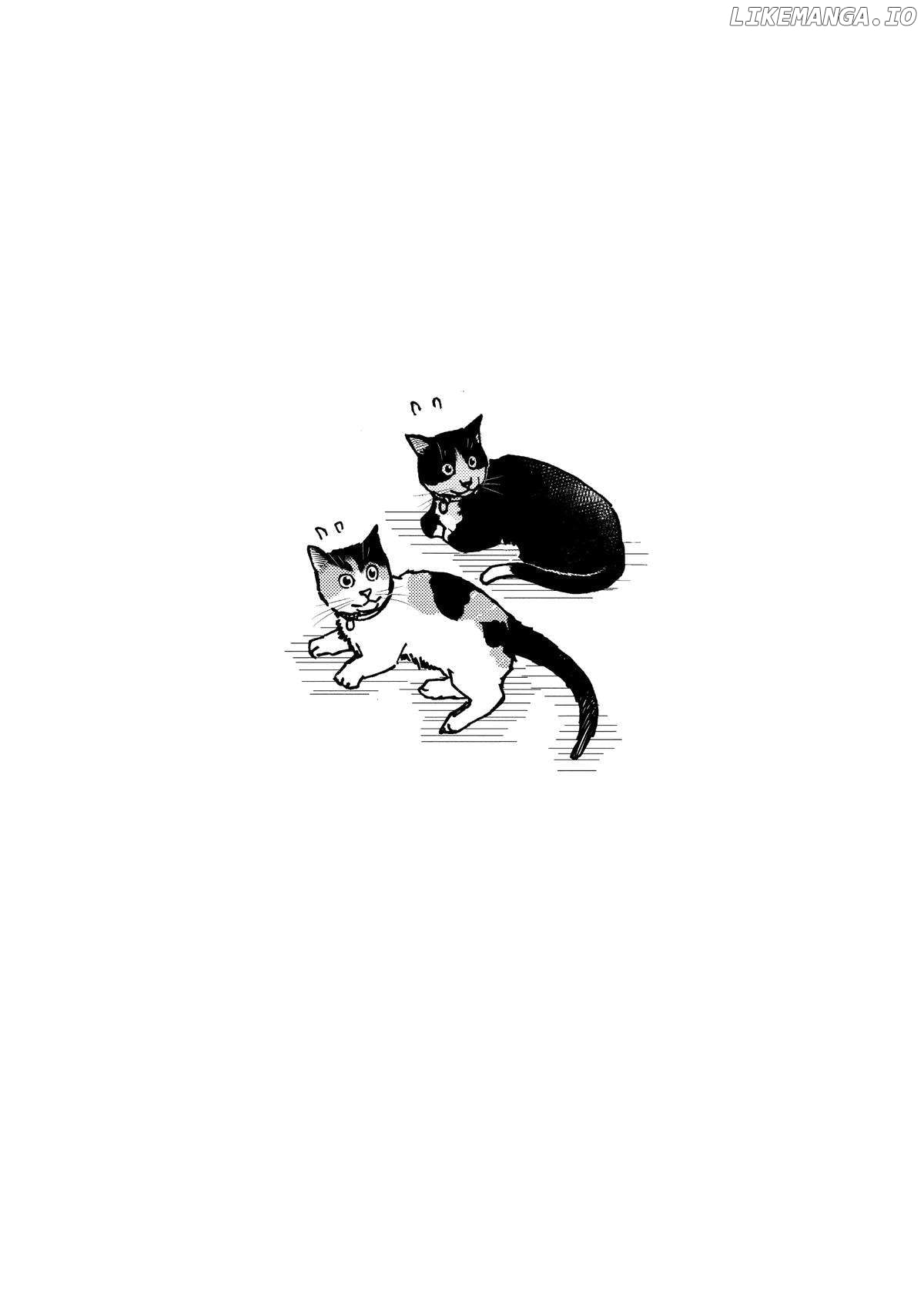 A Gamer Living With A Cat Chapter 35 - page 20