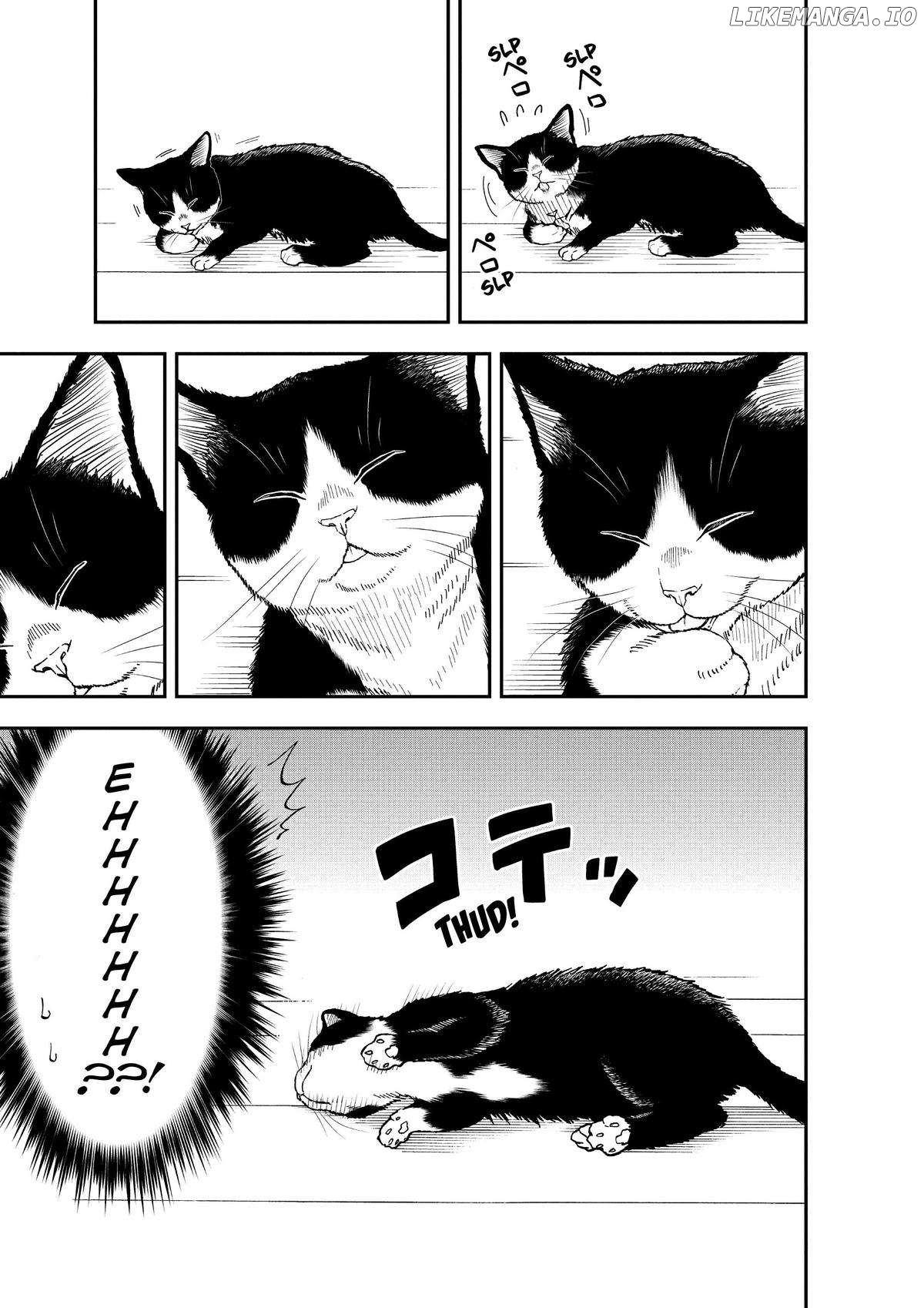 A Gamer Living With A Cat Chapter 1 - page 37