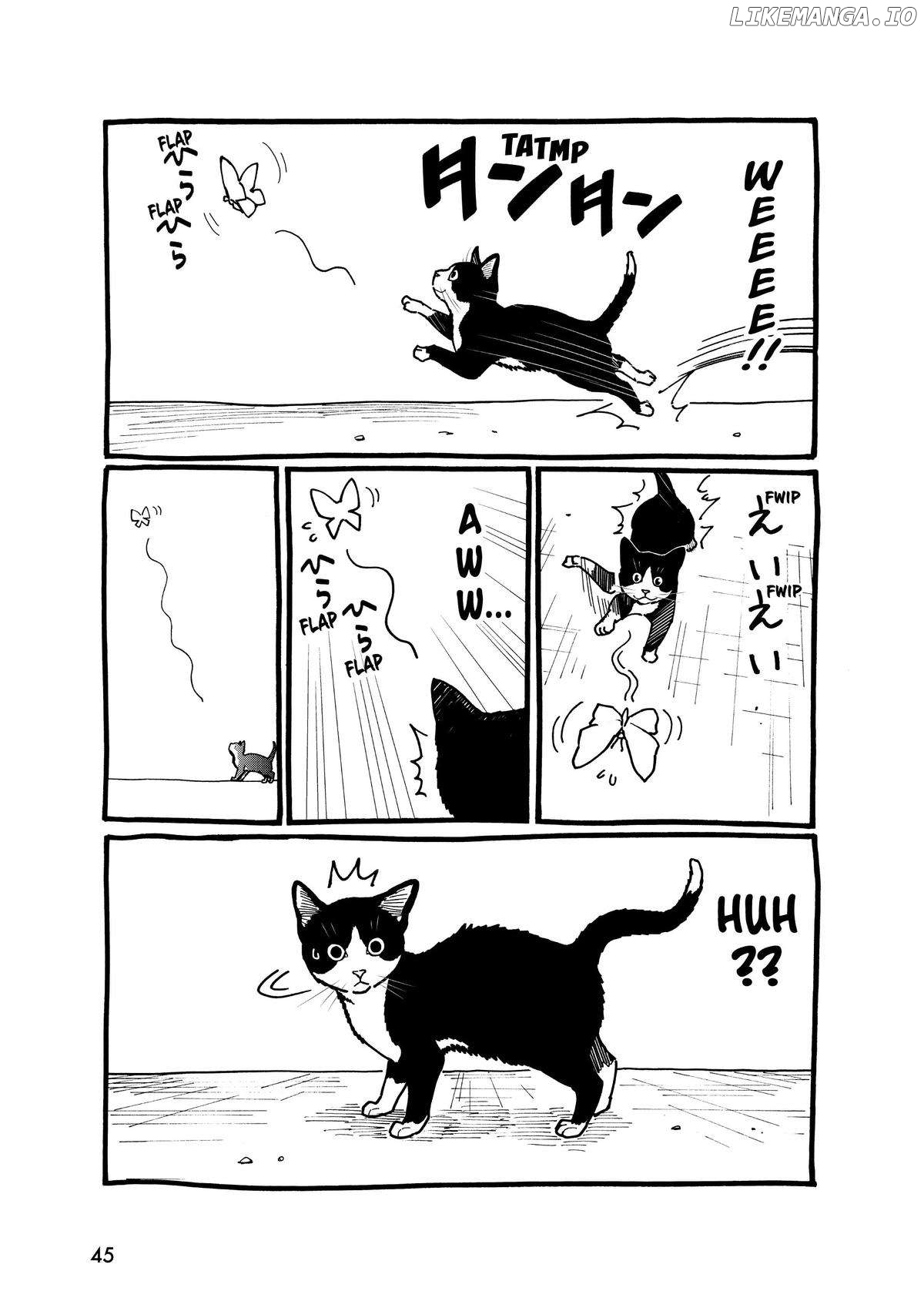 A Gamer Living With A Cat Chapter 1 - page 45