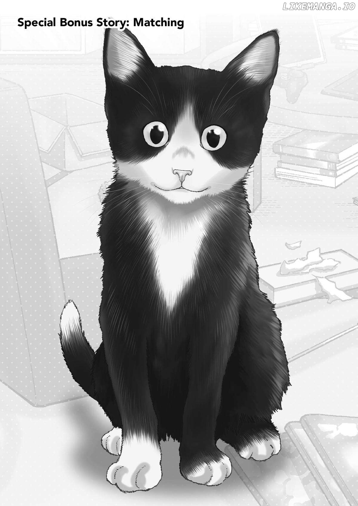 A Gamer Living With A Cat Chapter 17.5 - page 1