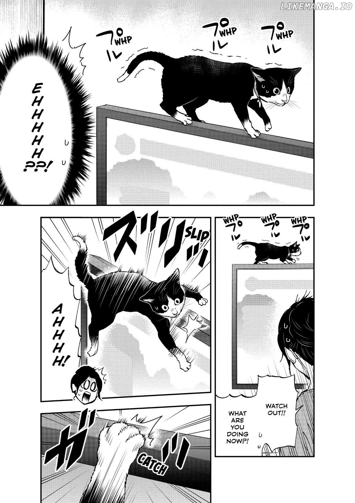 A Gamer Living With A Cat Chapter 22 - page 7