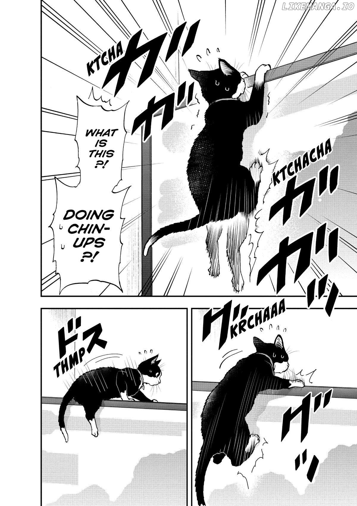 A Gamer Living With A Cat Chapter 22 - page 8