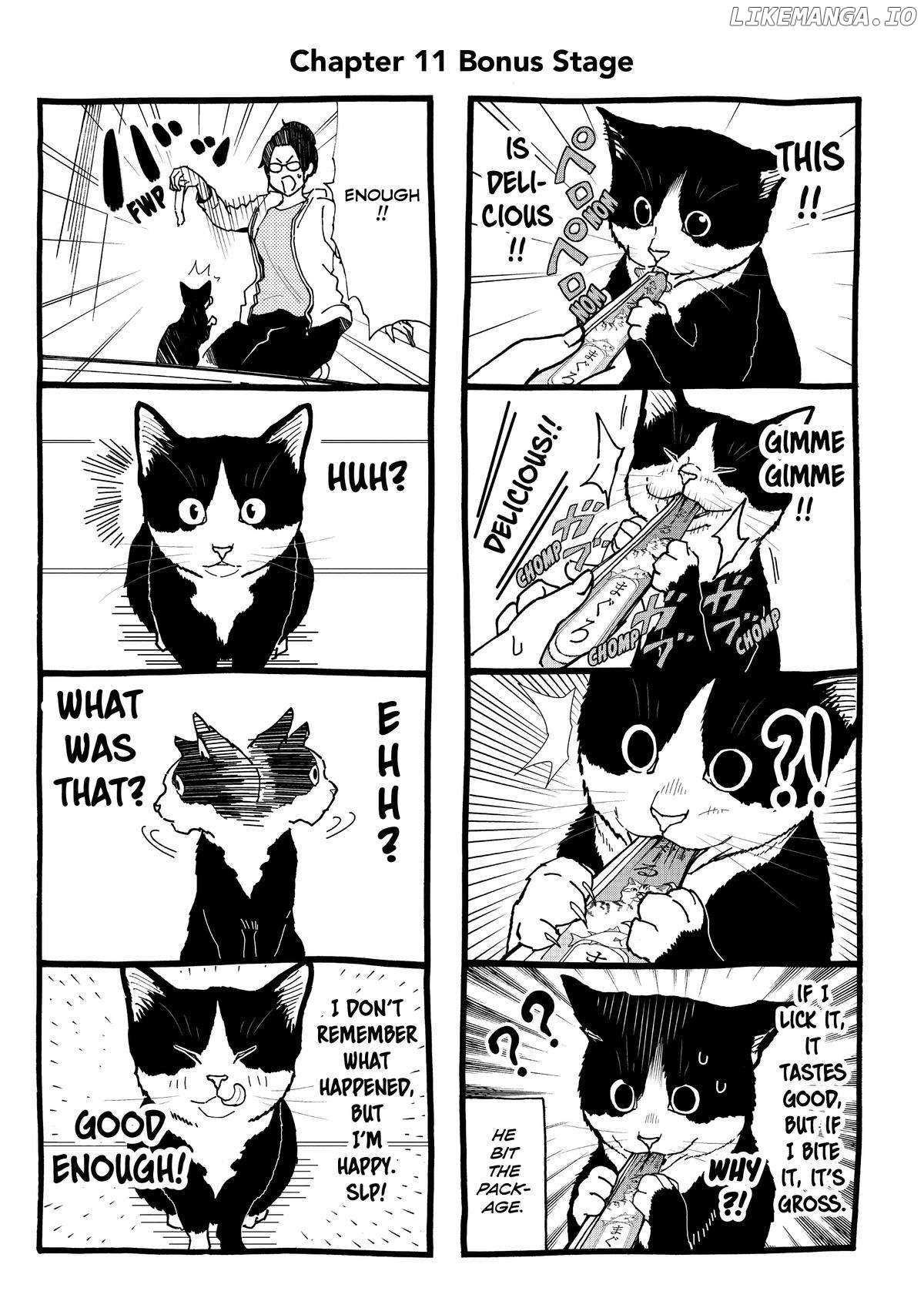 A Gamer Living With A Cat Chapter 11 - page 17