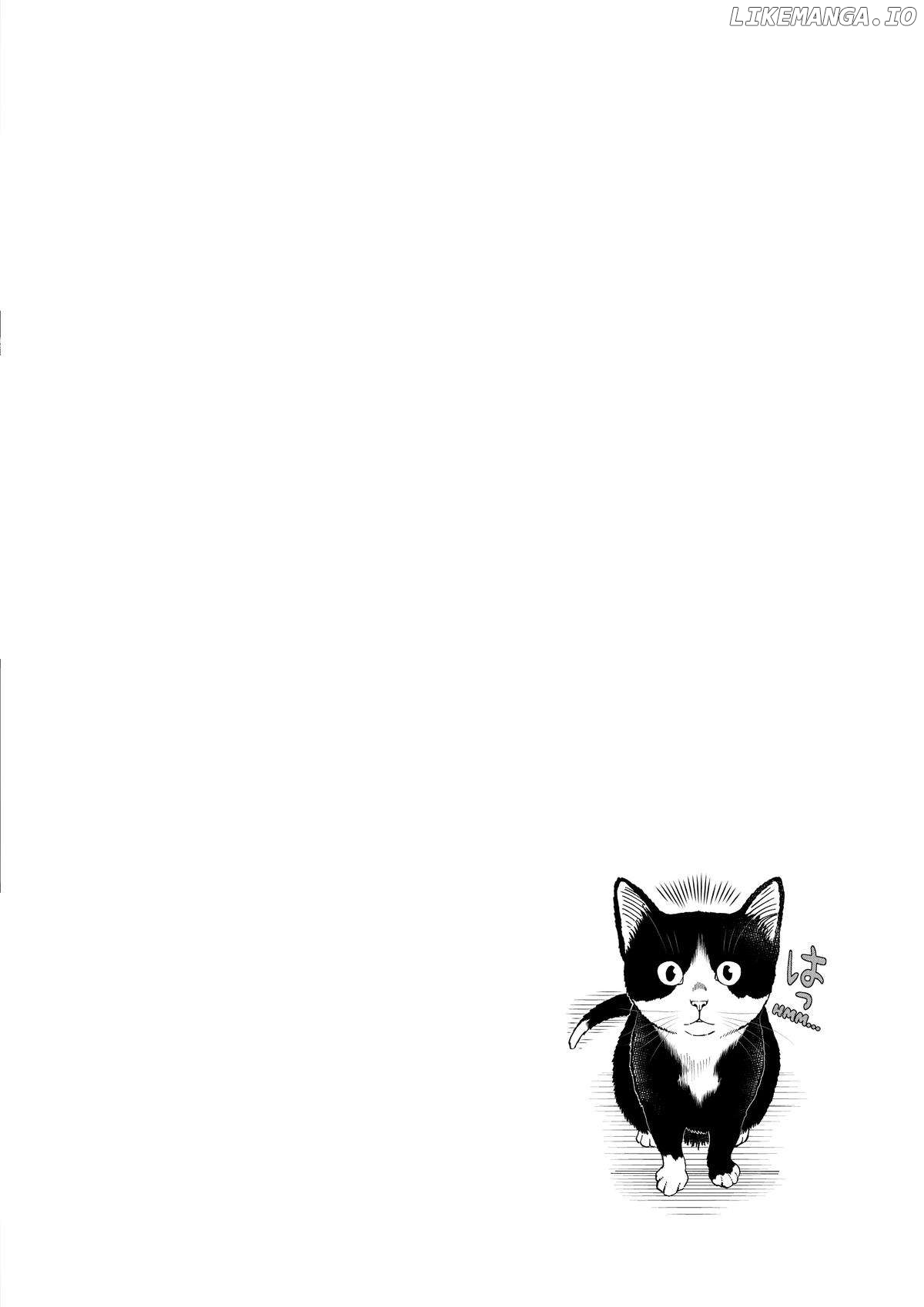 A Gamer Living With A Cat Chapter 11 - page 18