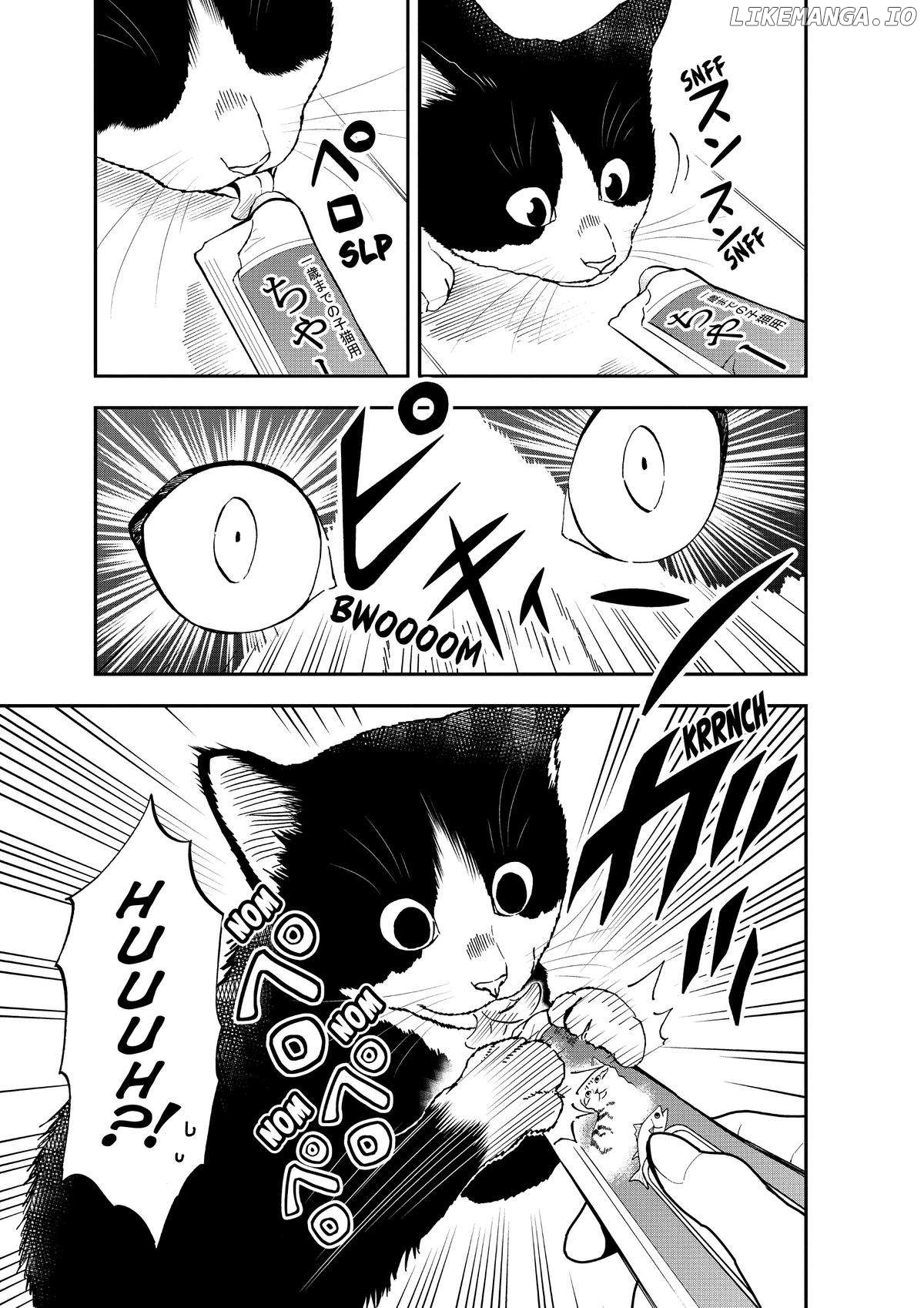 A Gamer Living With A Cat Chapter 11 - page 9