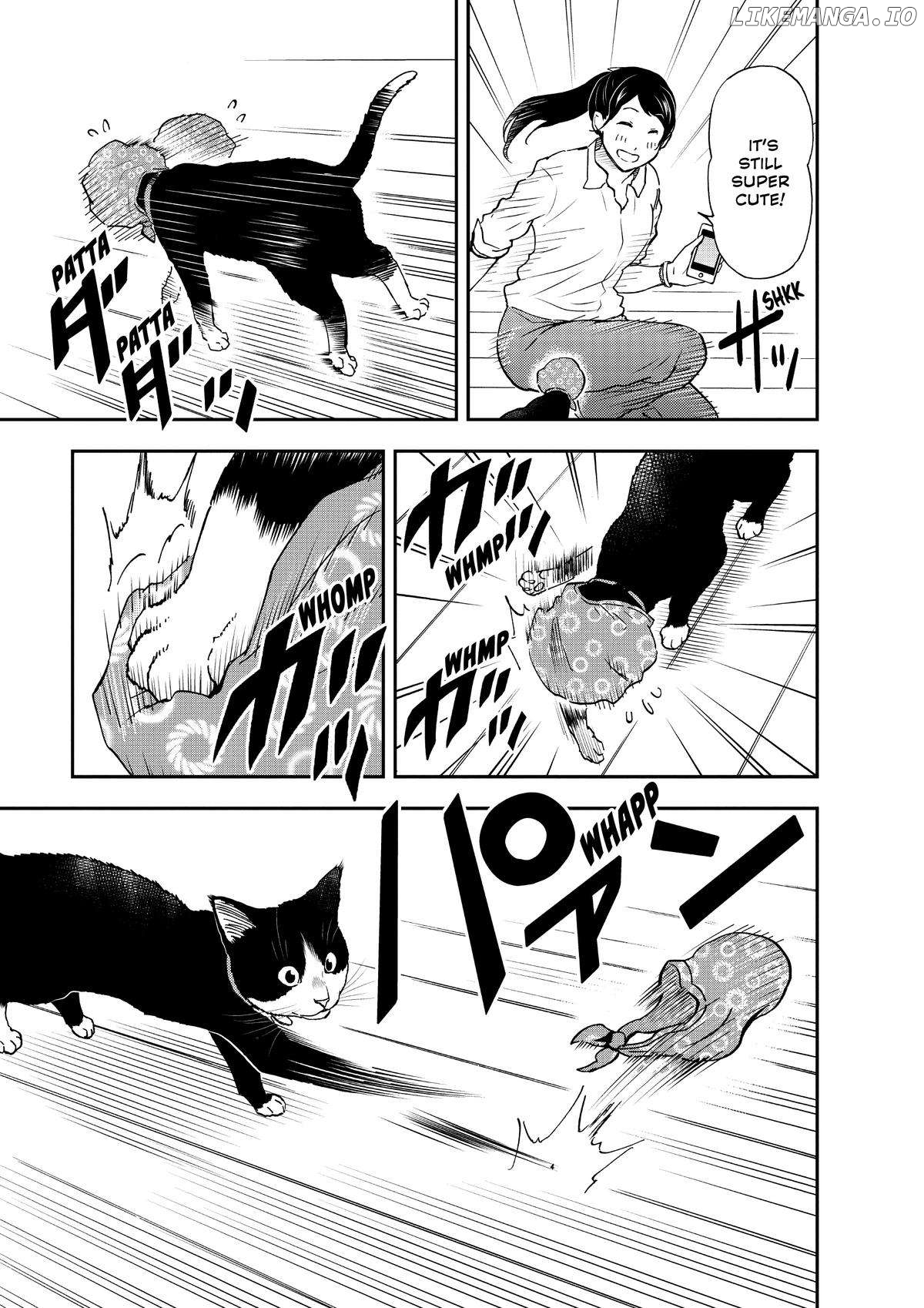 A Gamer Living With A Cat Chapter 24 - page 7
