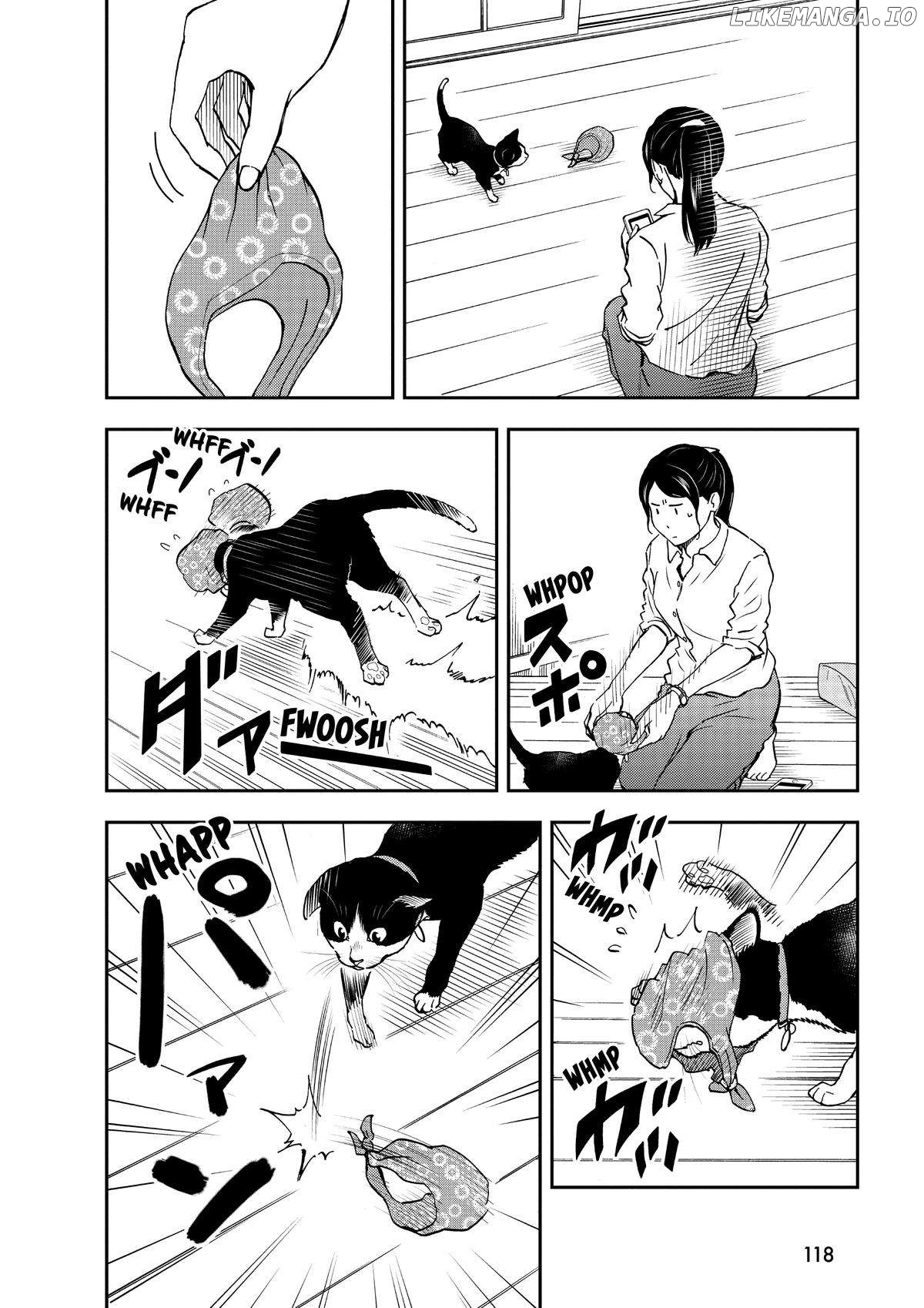 A Gamer Living With A Cat Chapter 24 - page 8