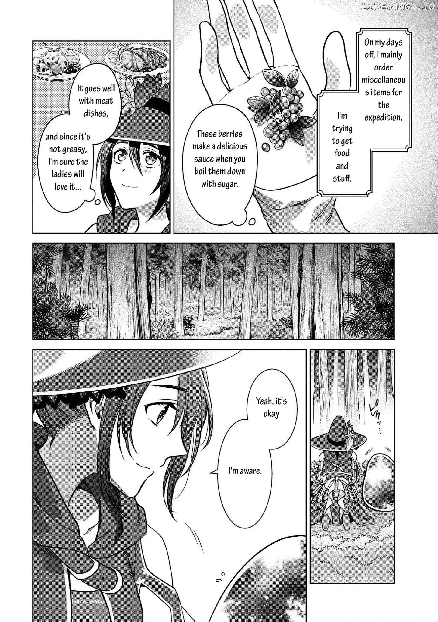 Life in Another World as a Housekeeping Mage chapter 6 - page 4