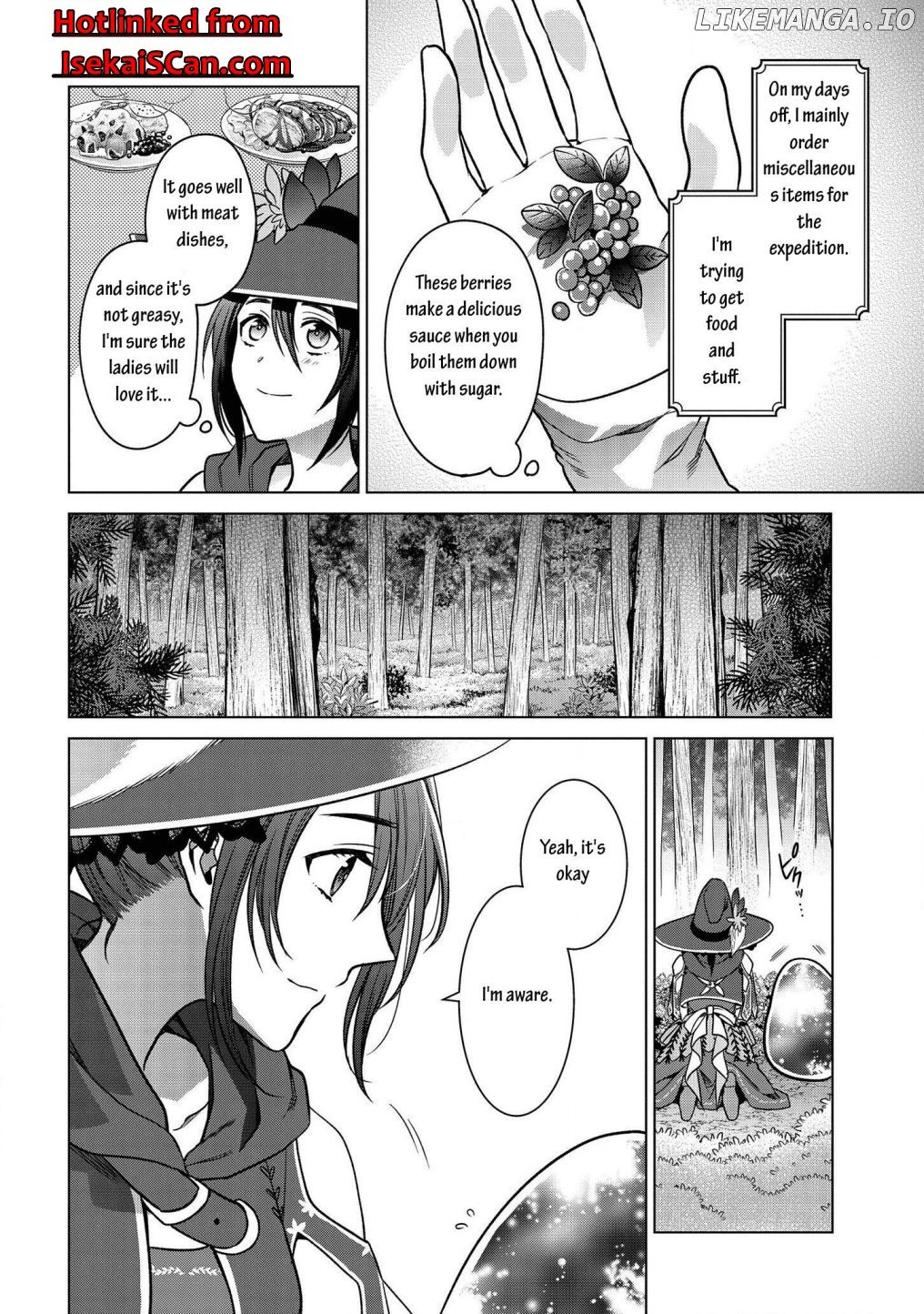 Life in Another World as a Housekeeping Mage chapter 6.1 - page 5