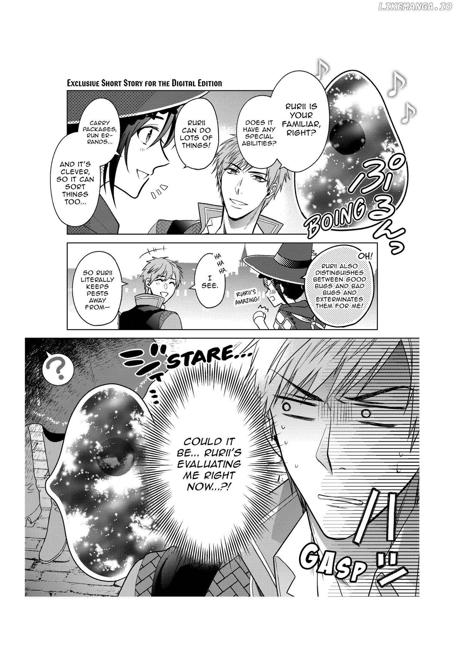 Life in Another World as a Housekeeping Mage chapter 6.5 - page 13