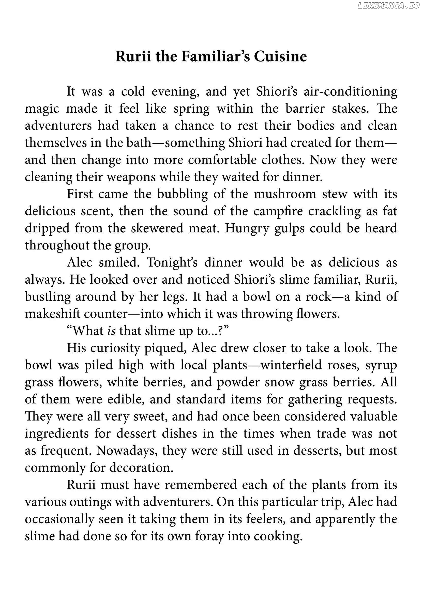 Life in Another World as a Housekeeping Mage chapter 18.6 - page 2