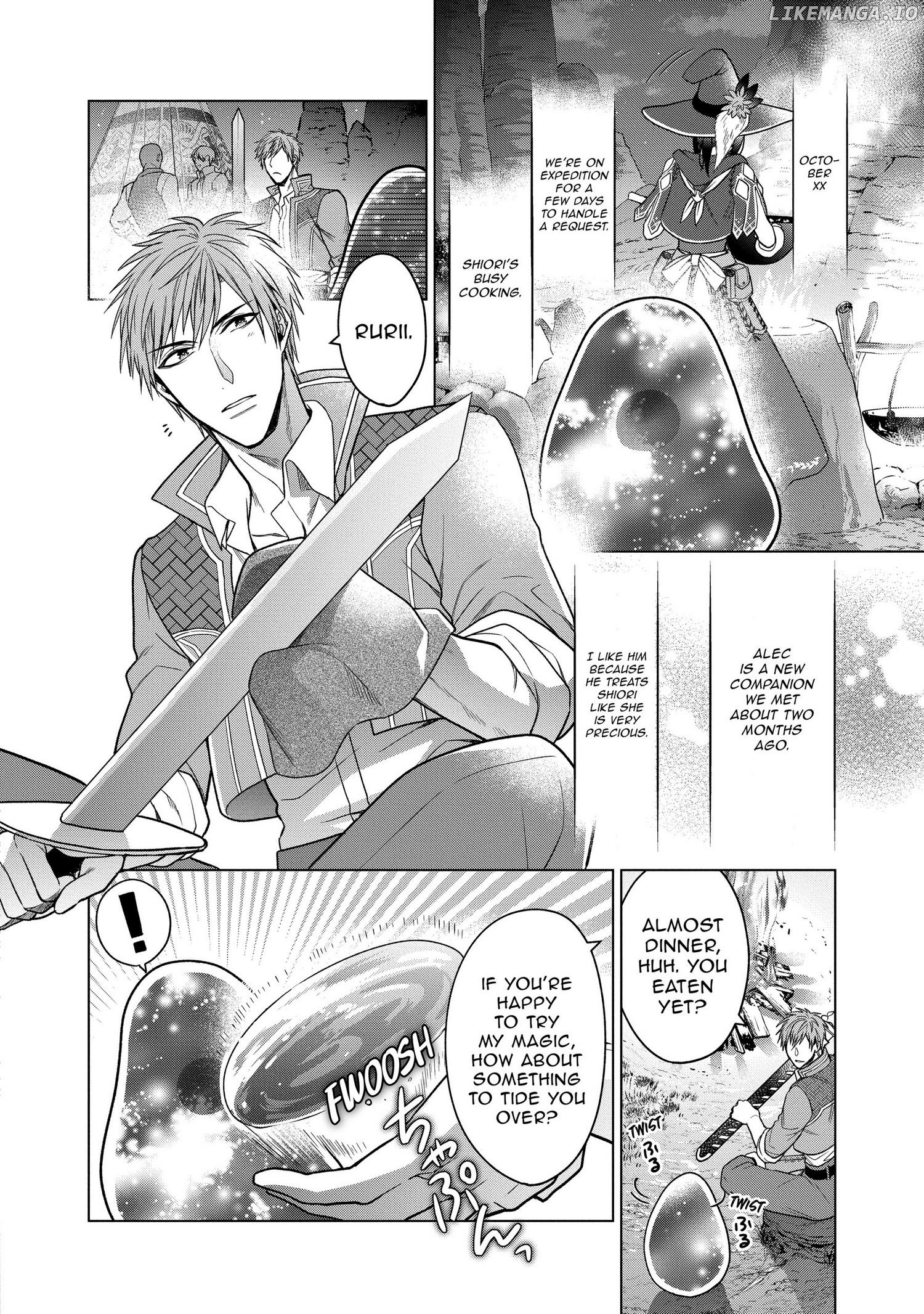 Life in Another World as a Housekeeping Mage chapter 9.5 - page 4