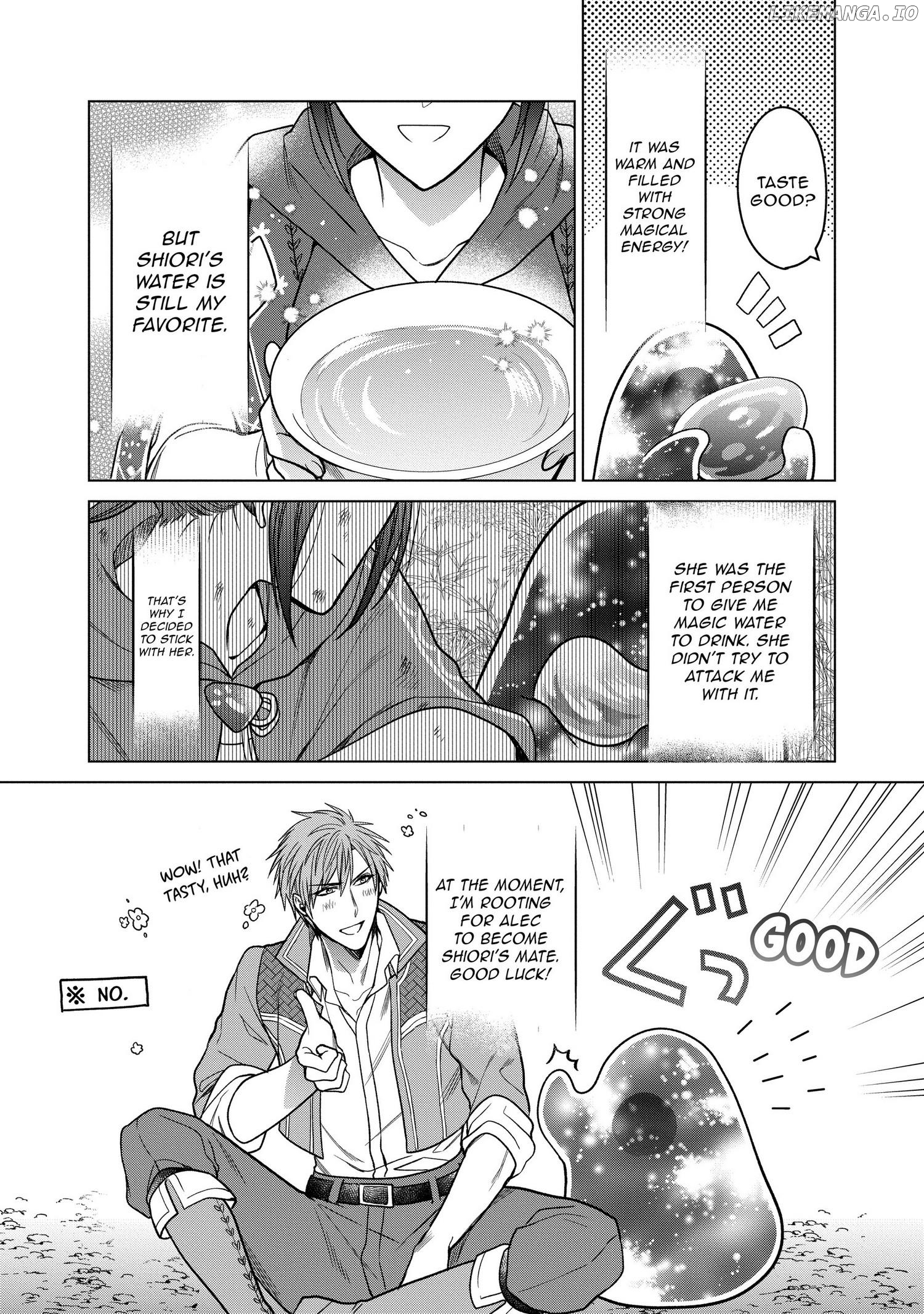 Life in Another World as a Housekeeping Mage chapter 9.5 - page 5