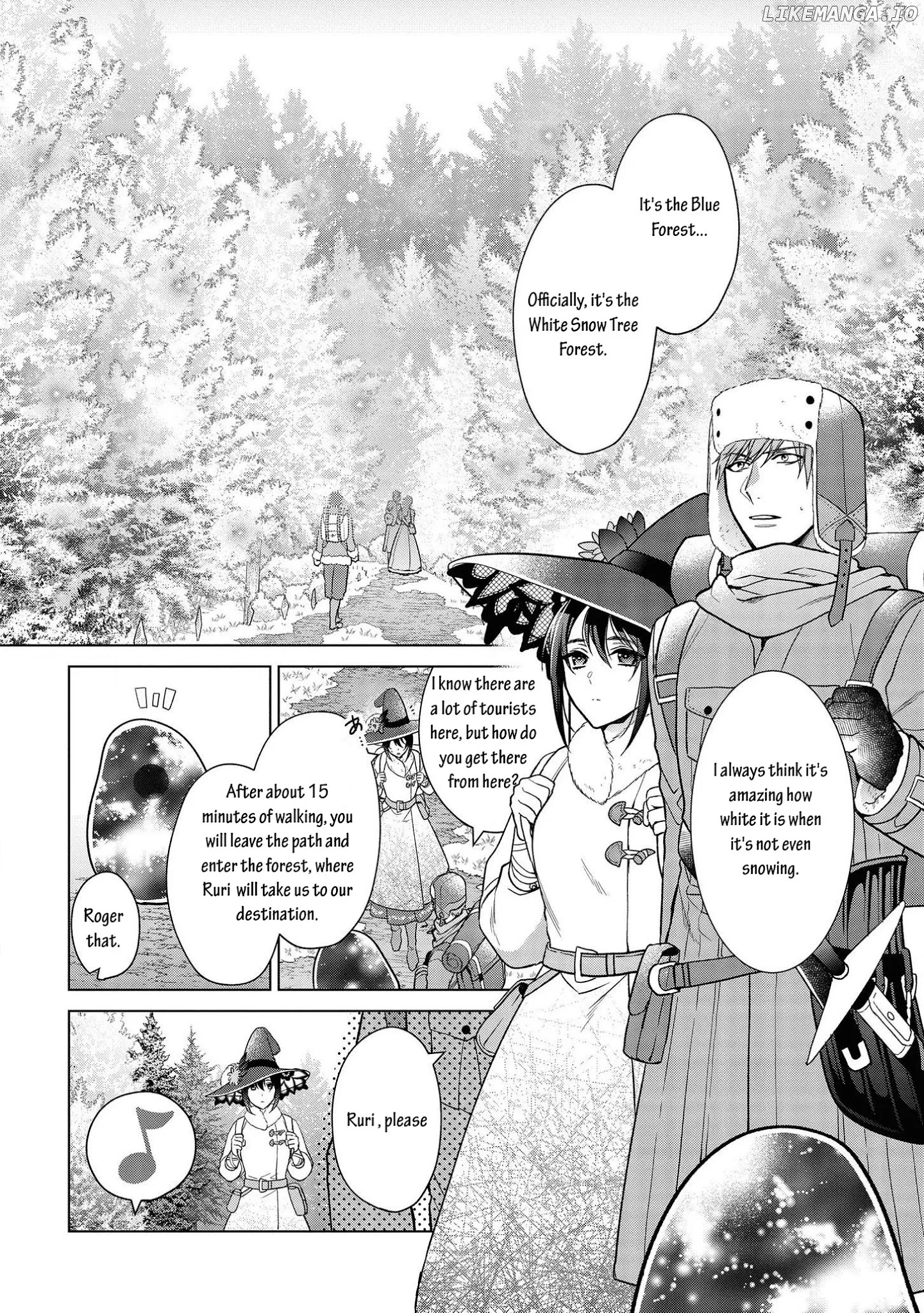 Life in Another World as a Housekeeping Mage chapter 11 - page 4