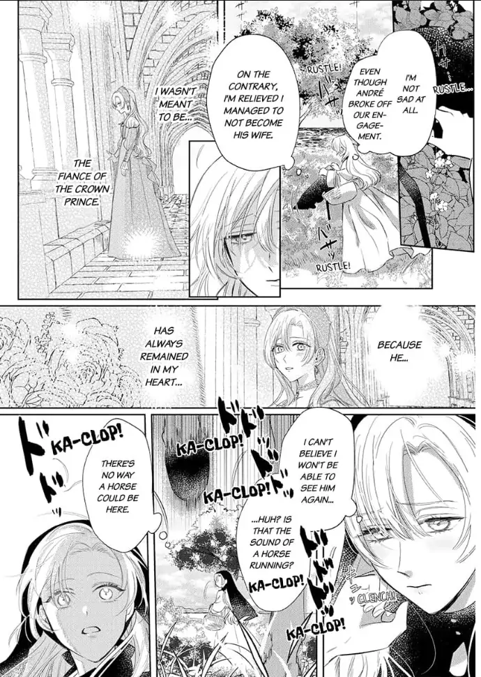 Ai ga Omoi Kishi Koushaku wa, Tsuihou Reijou no Subete wo Ubai Tsukushitai. Chapter 1 - page 7