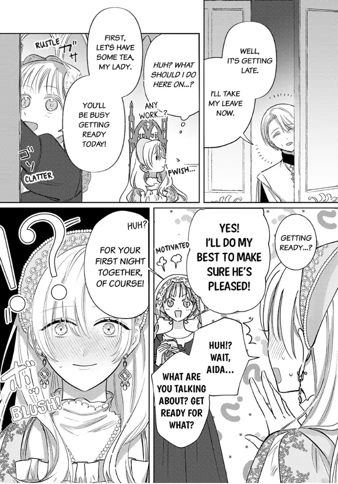 Ai ga Omoi Kishi Koushaku wa, Tsuihou Reijou no Subete wo Ubai Tsukushitai. Chapter 3 - page 14