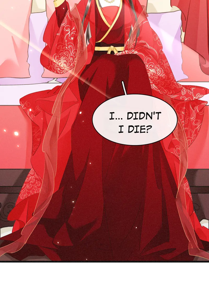 The Phoenix Consort Dominates the World Chapter 1 - page 28