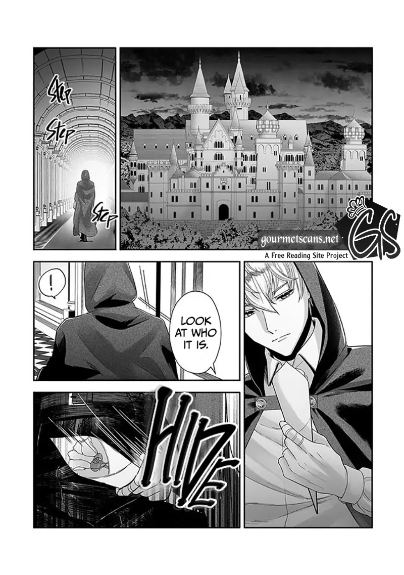 Royal Cinderella Mama - The Orphaned Fallen Noble Lady Is Cherished by the Merciless Emperor Chapter 1.2 - page 17