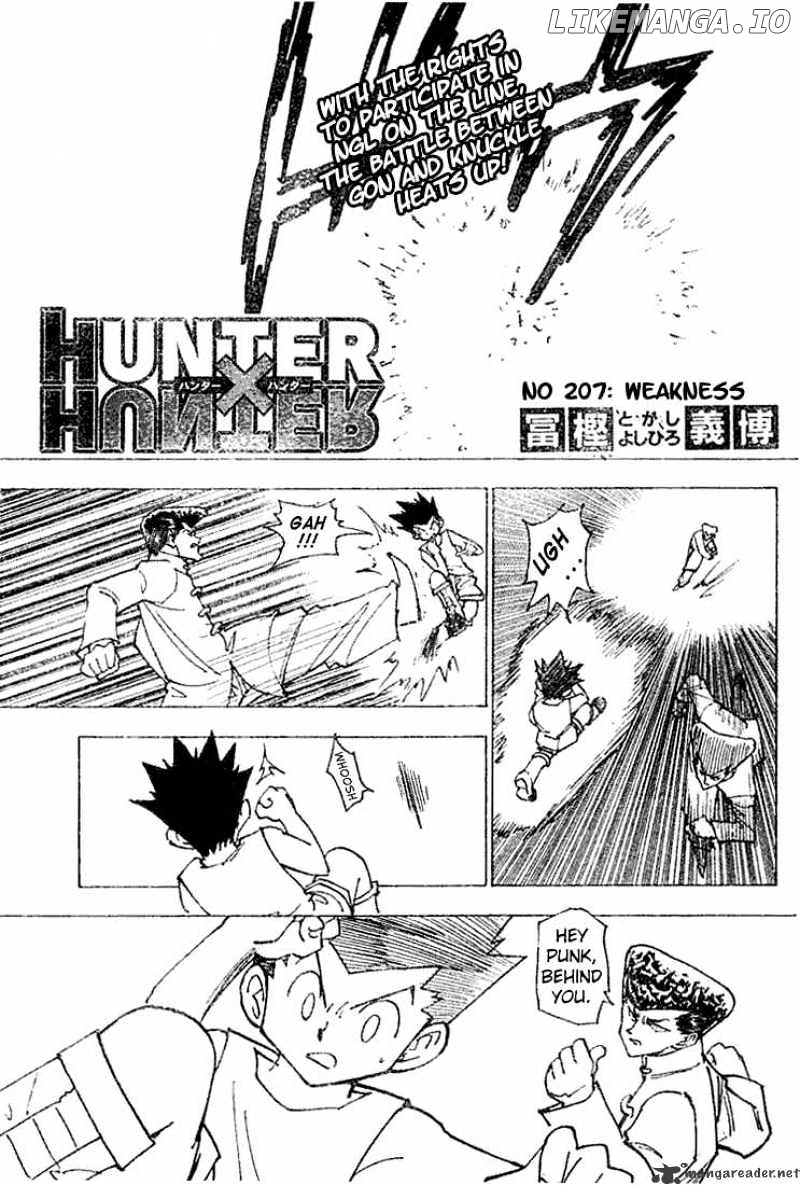 Hunter X Hunter chapter 207 - page 2