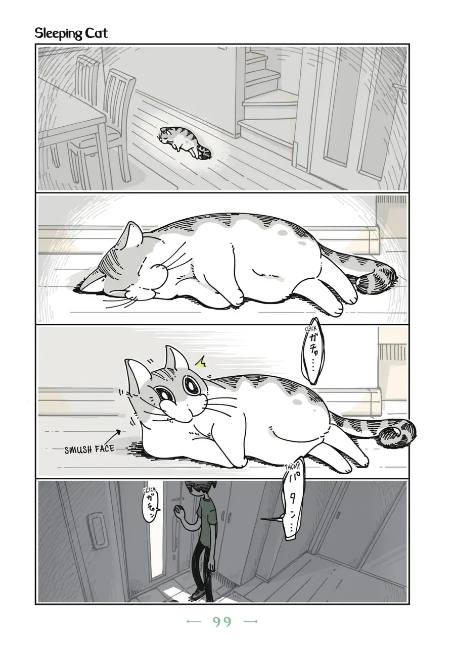 Nights with a Cat Chapter 25 - page 1