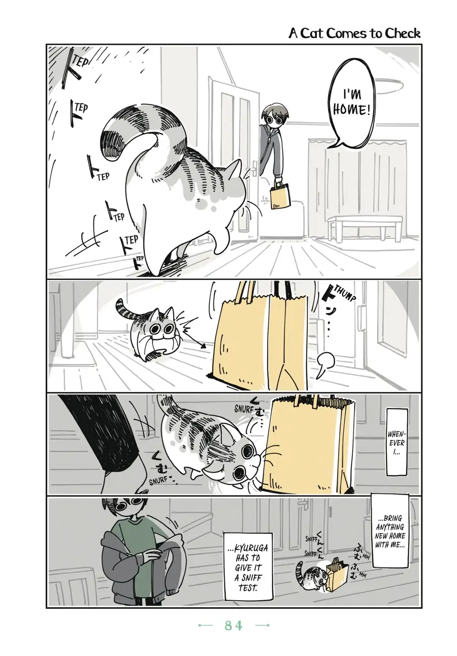 Nights with a Cat Chapter 21 - page 1