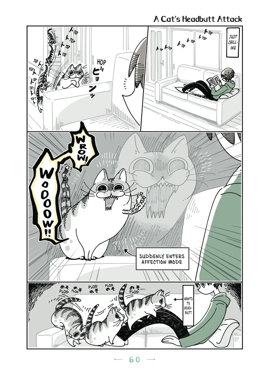 Nights with a Cat Chapter 47 - page 1