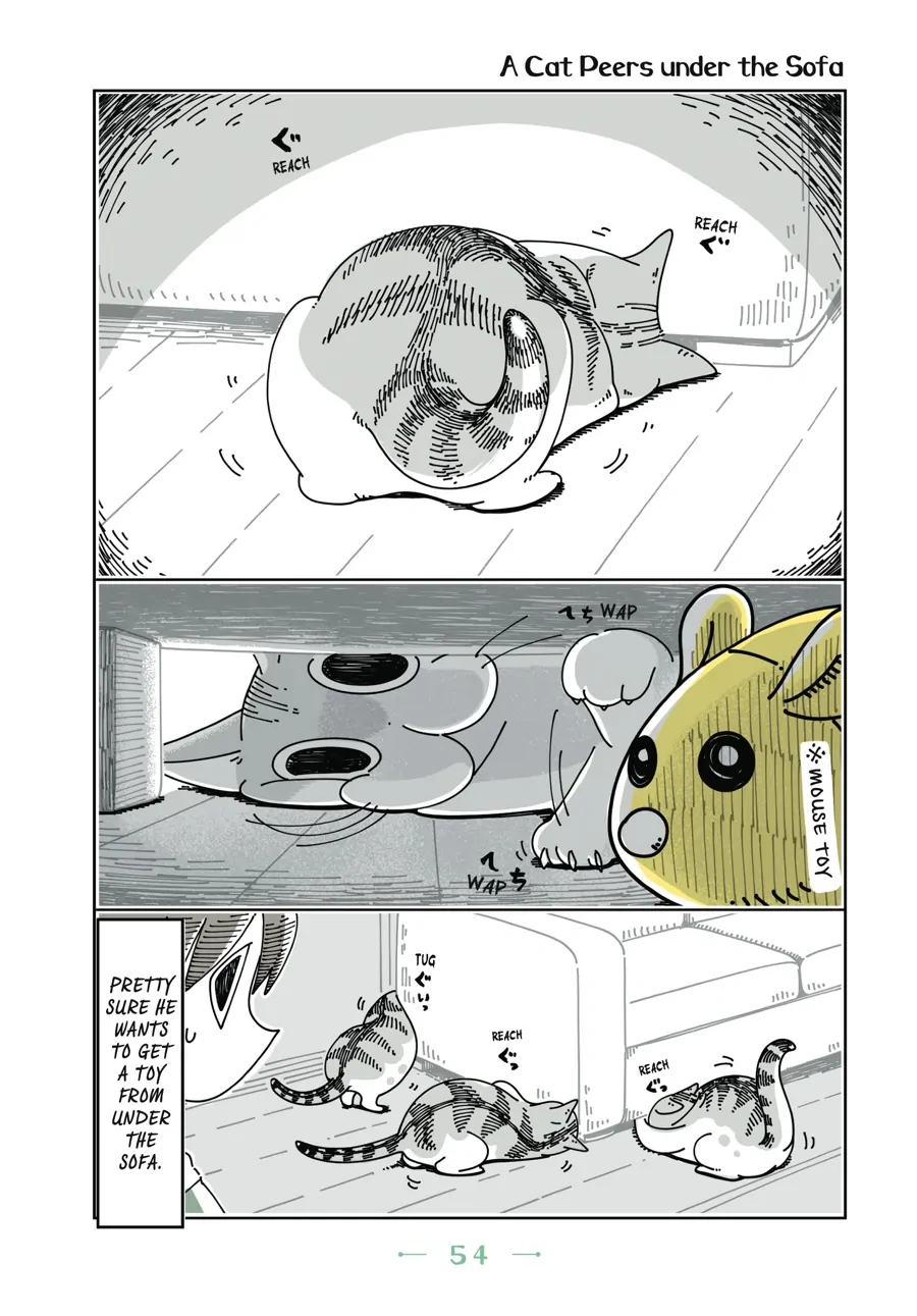 Nights with a Cat Chapter 45 - page 1