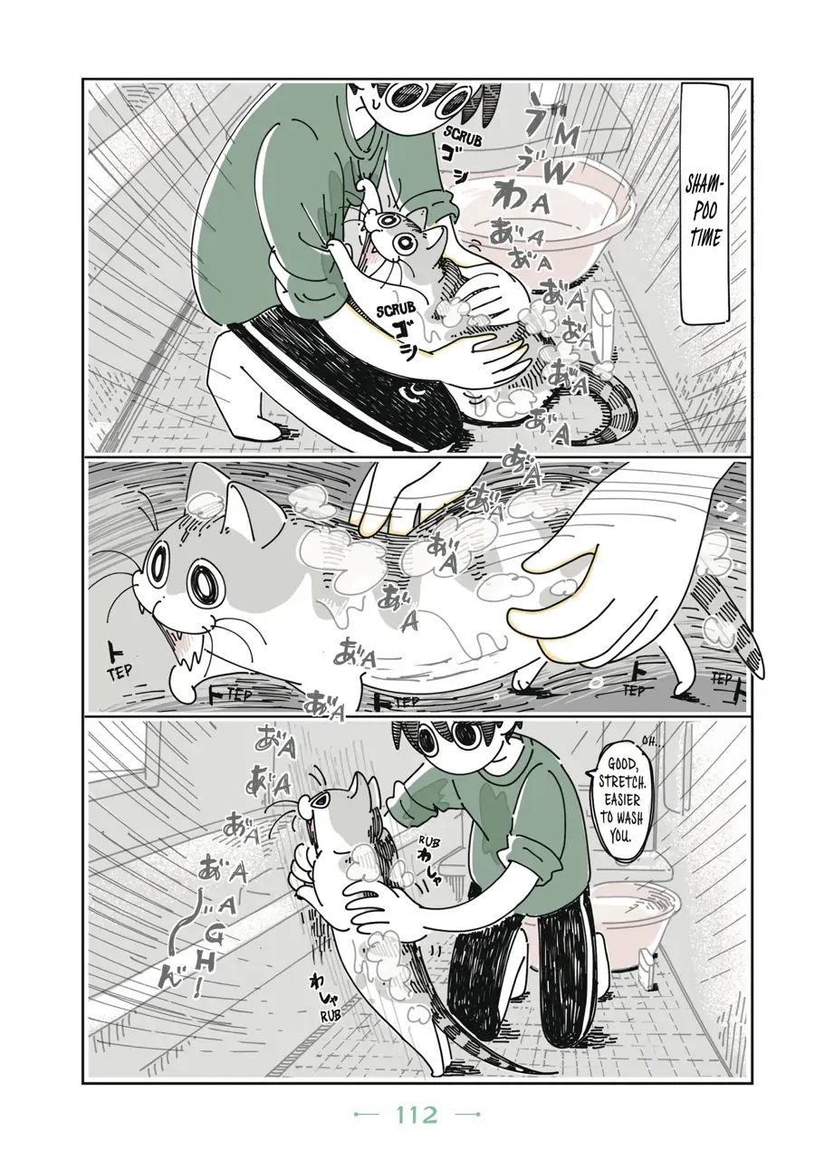 Nights with a Cat Chapter 26 - page 11