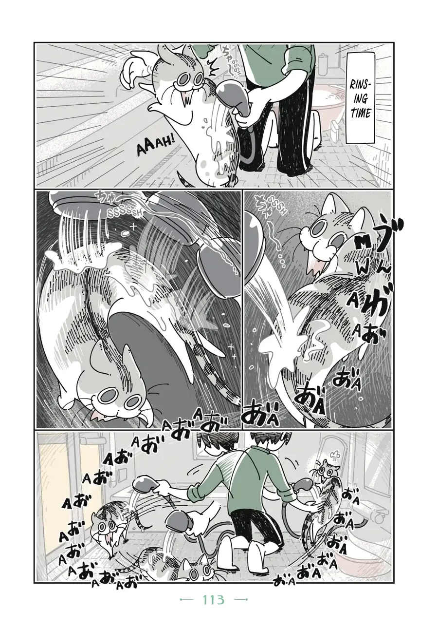 Nights with a Cat Chapter 26 - page 12