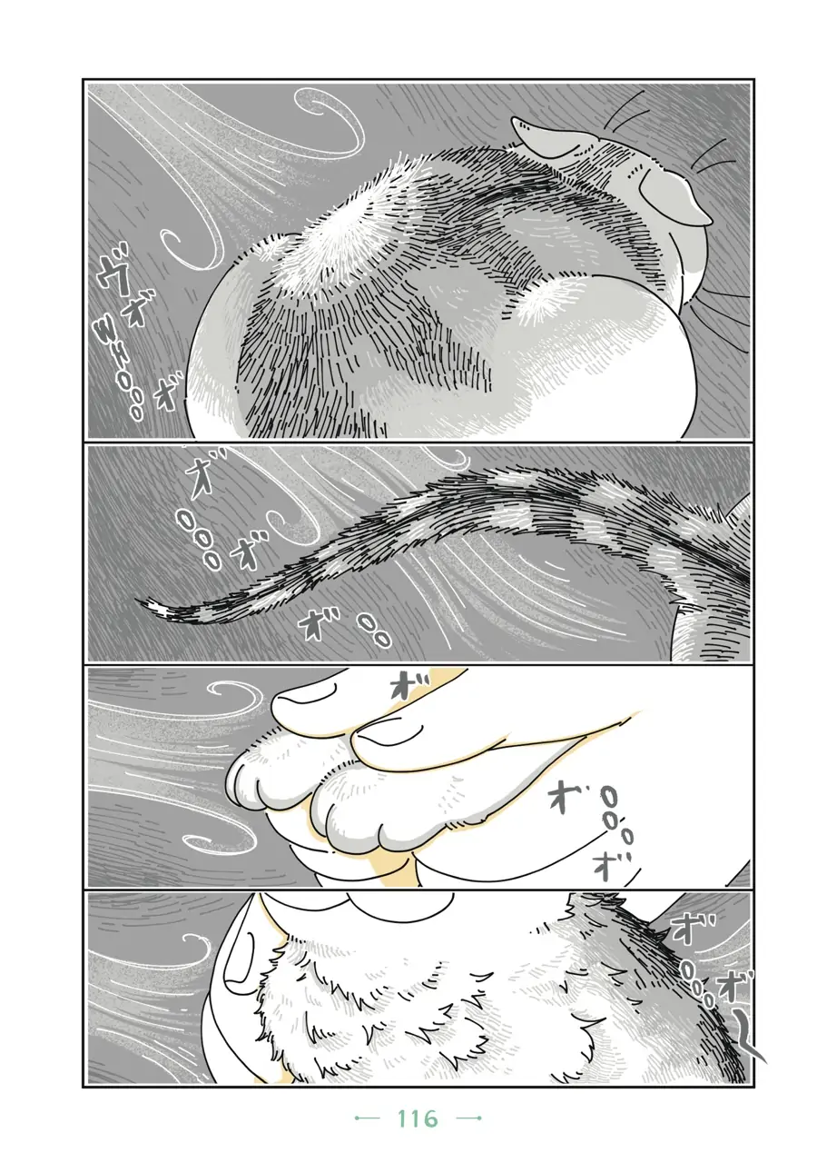 Nights with a Cat Chapter 26 - page 15