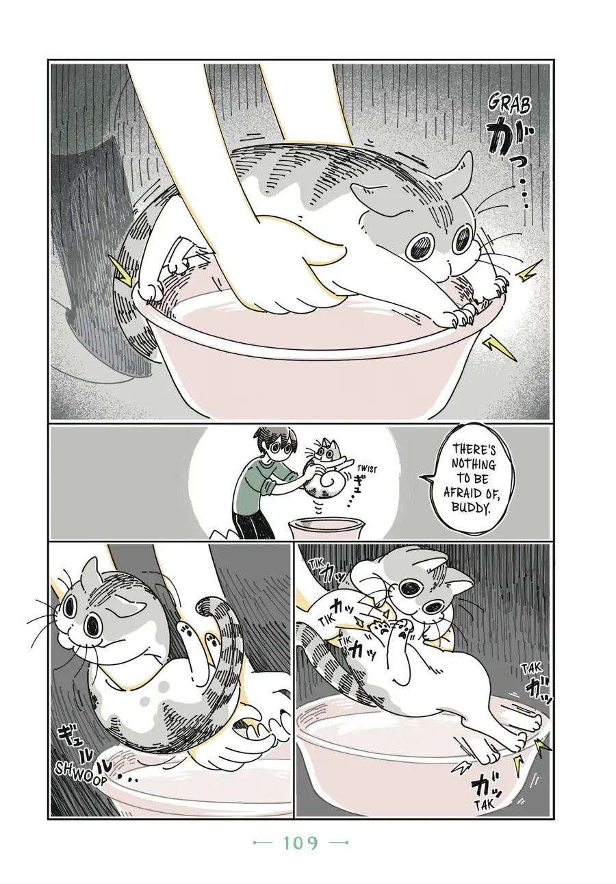Nights with a Cat Chapter 26 - page 8