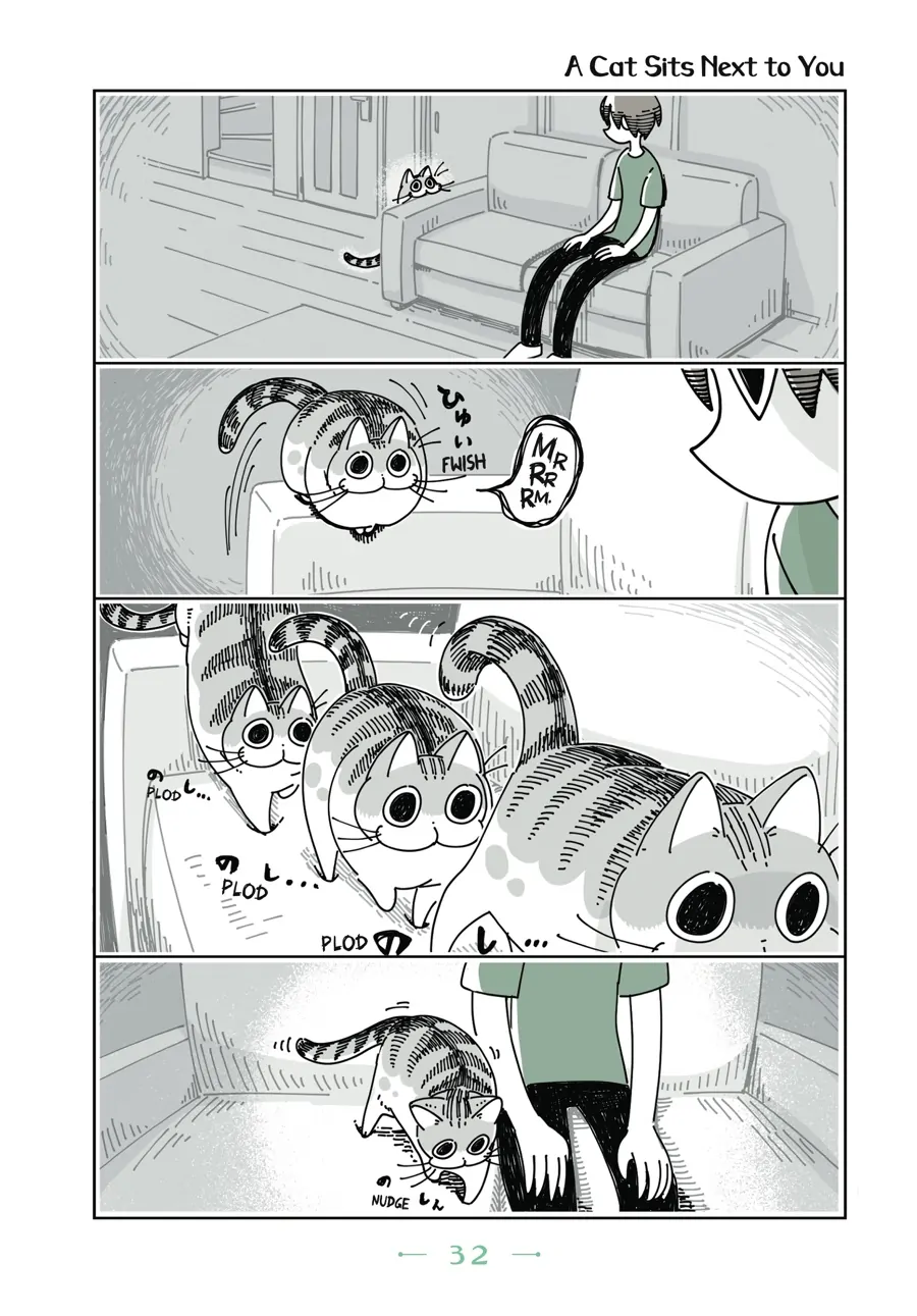 Nights with a Cat Chapter 36 - page 1