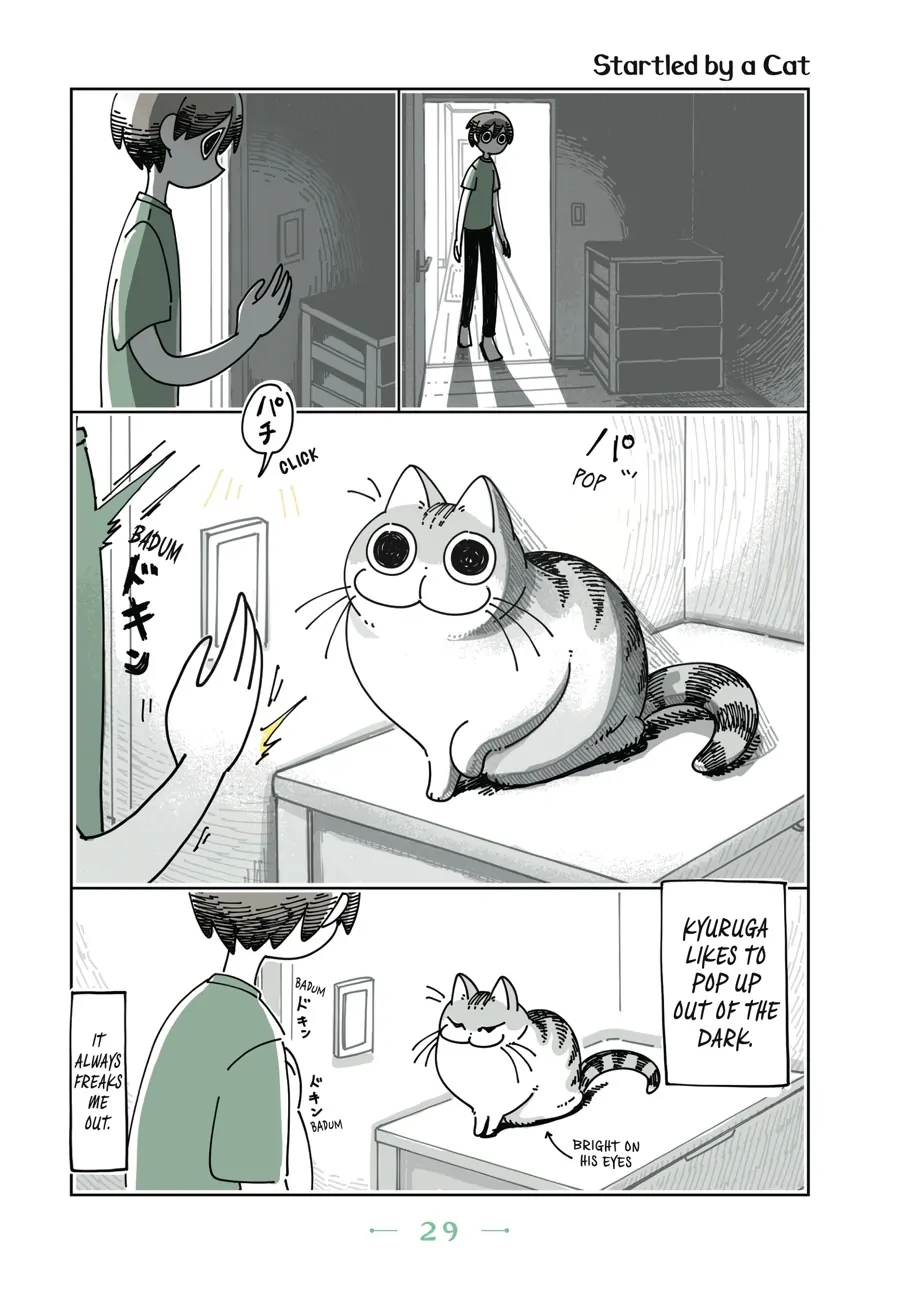 Nights with a Cat Chapter 35 - page 1