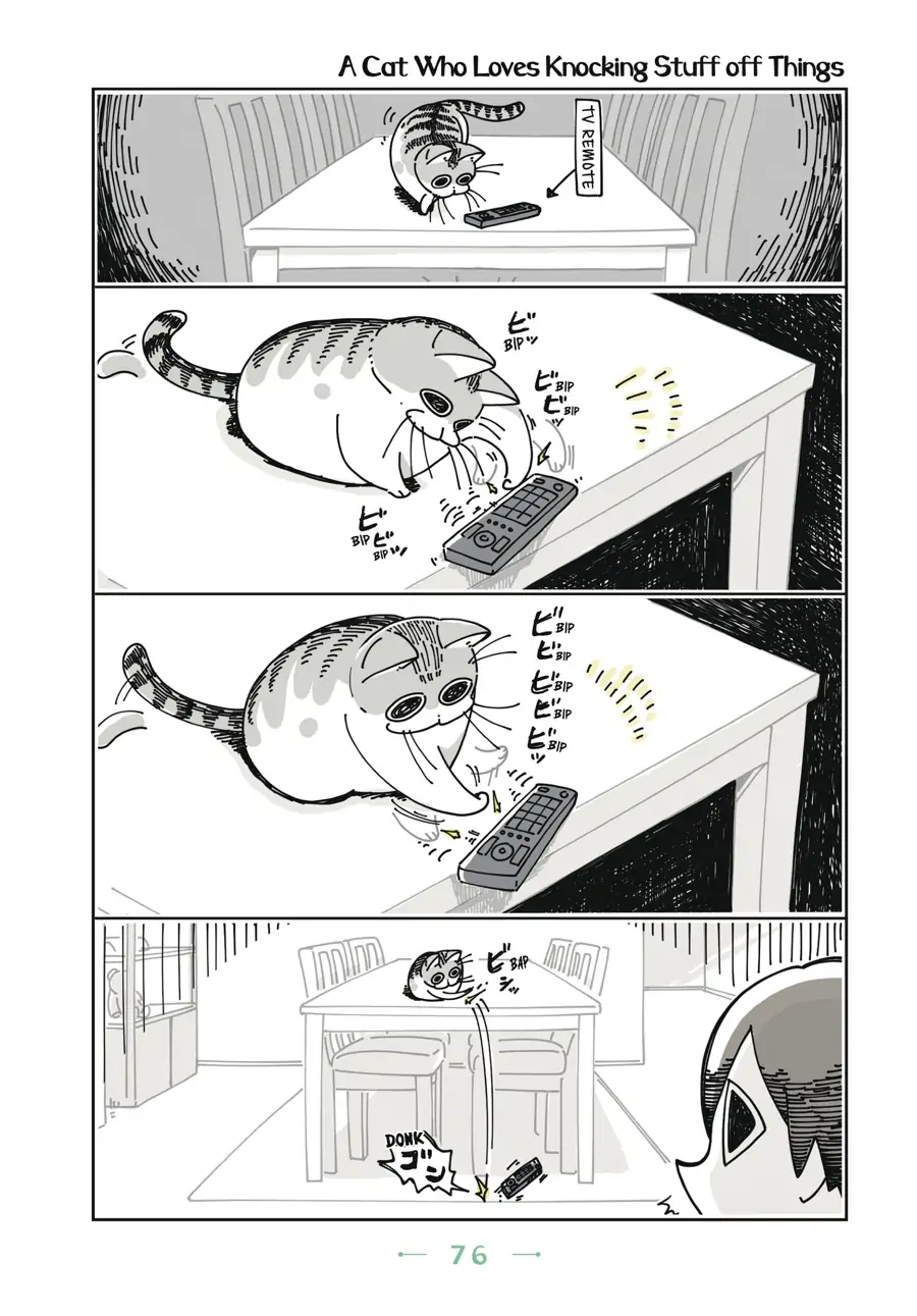 Nights with a Cat Chapter 19 - page 1