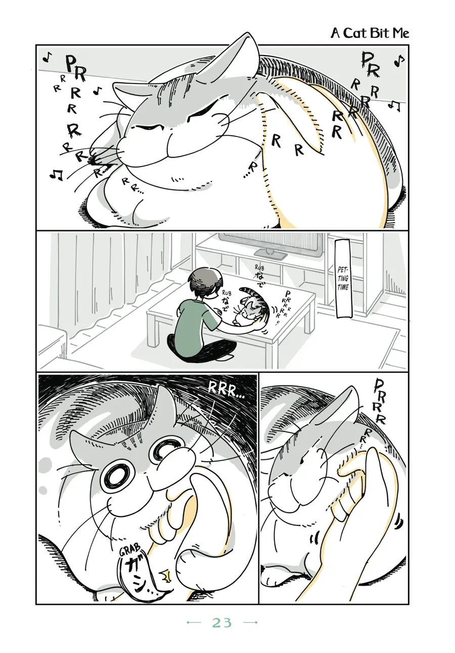 Nights with a Cat Chapter 33 - page 1