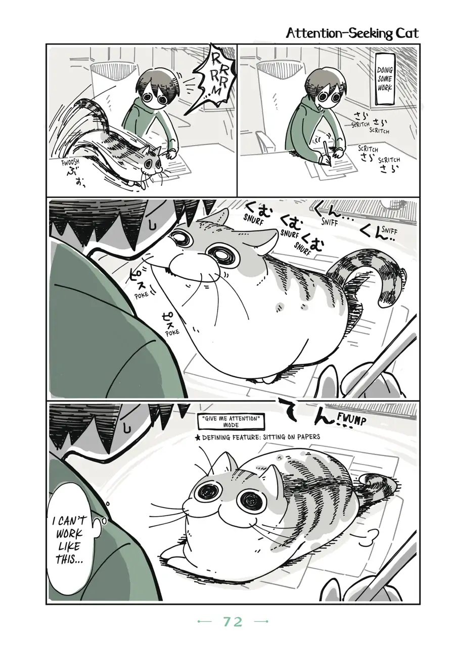 Nights with a Cat Chapter 18 - page 1
