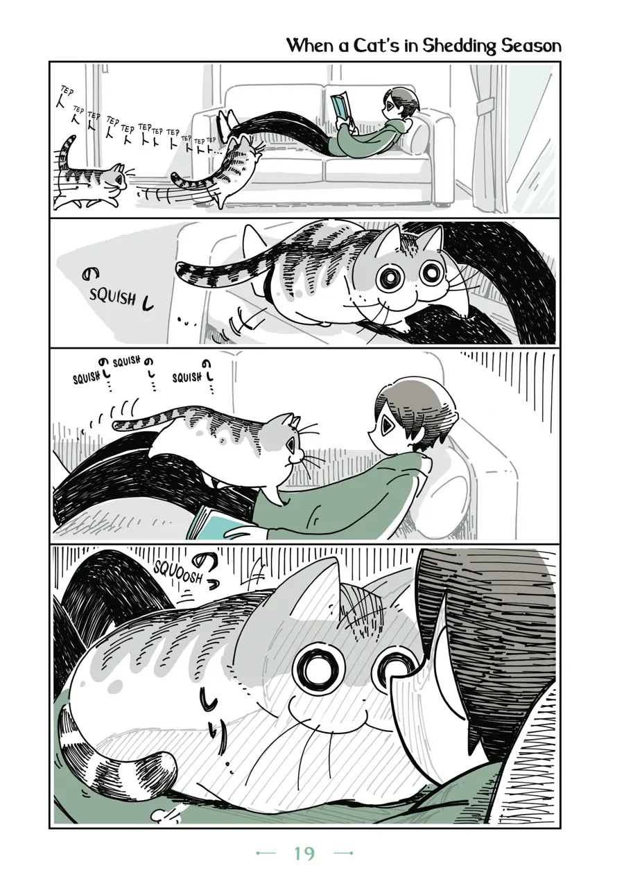 Nights with a Cat Chapter 32 - page 1