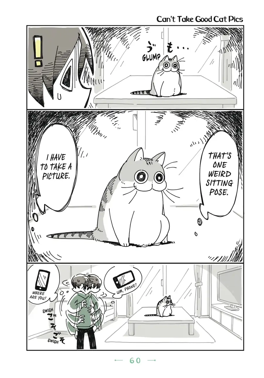 Nights with a Cat Chapter 15 - page 1