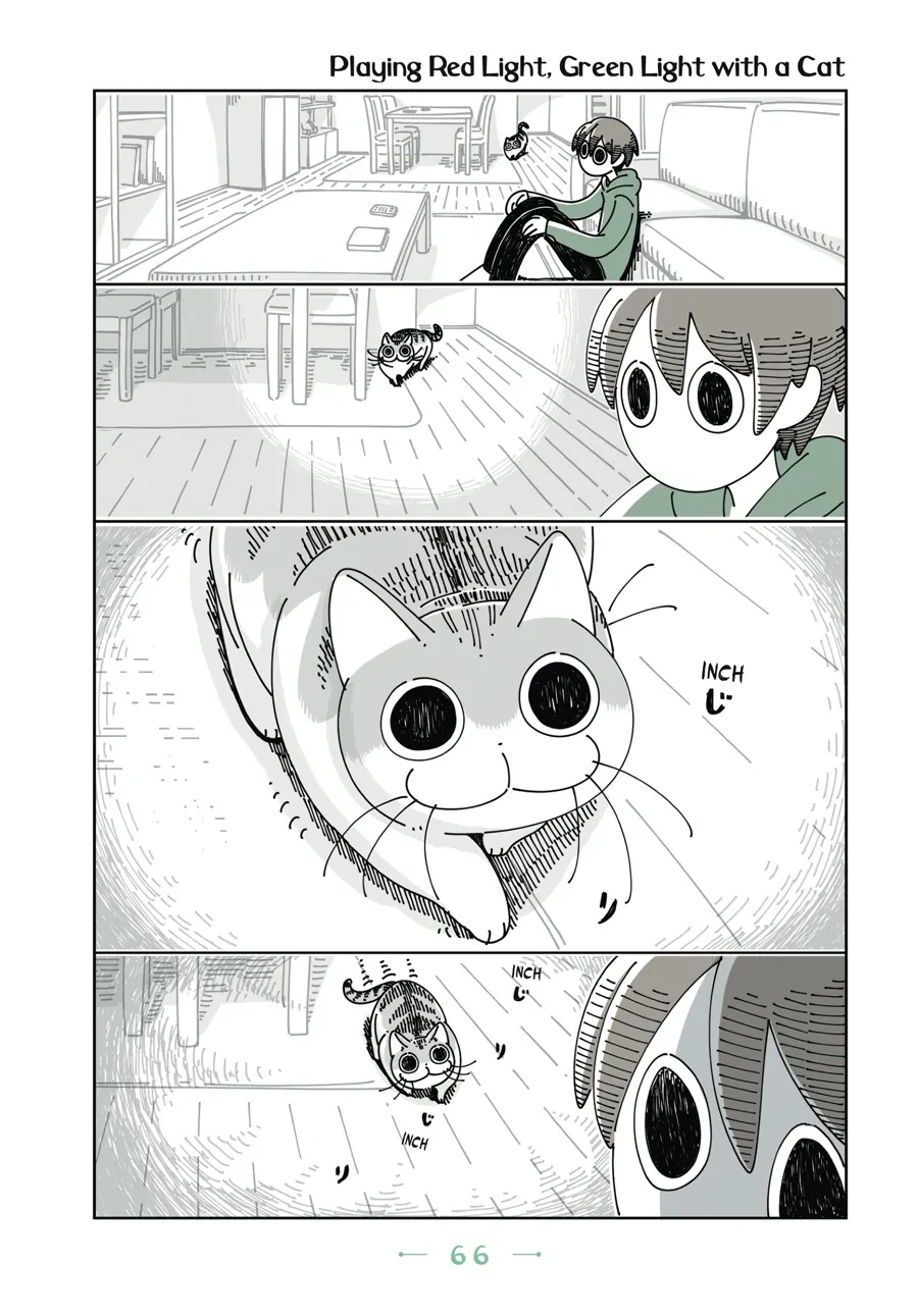 Nights with a Cat Chapter 49 - page 1